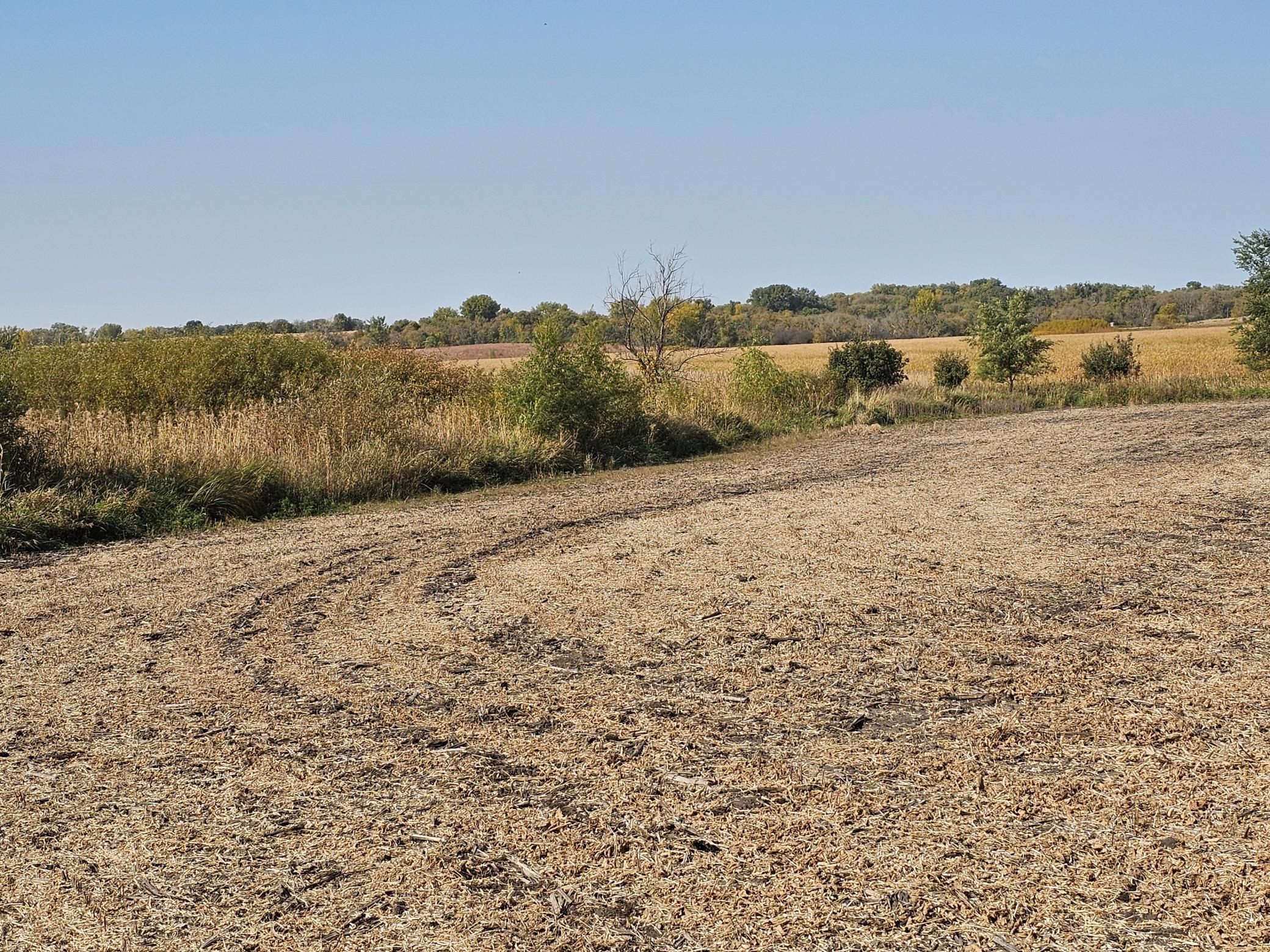 - Mamre Twp Property Photo 13