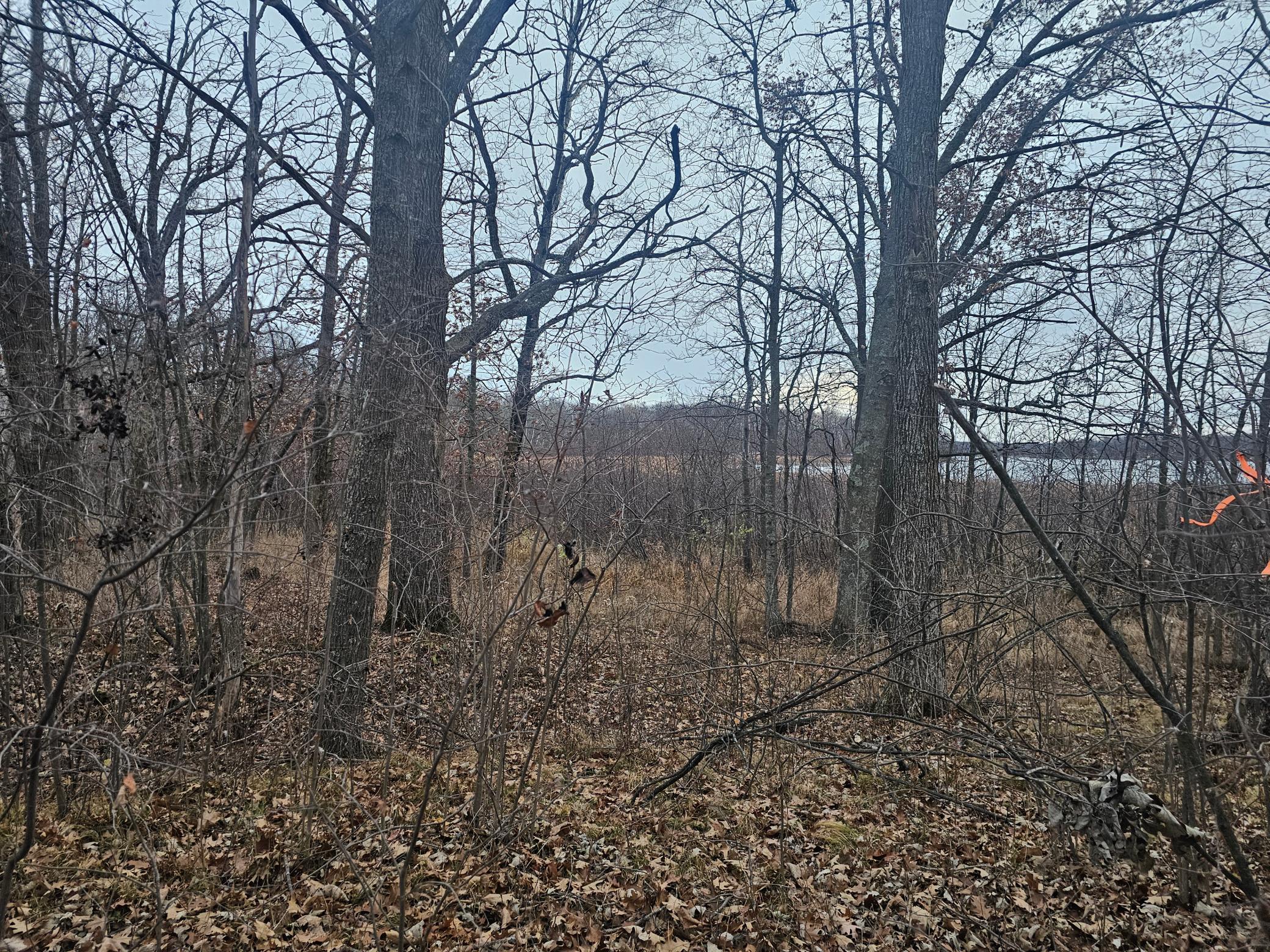 Tbd County Road 30 Property Photo 4