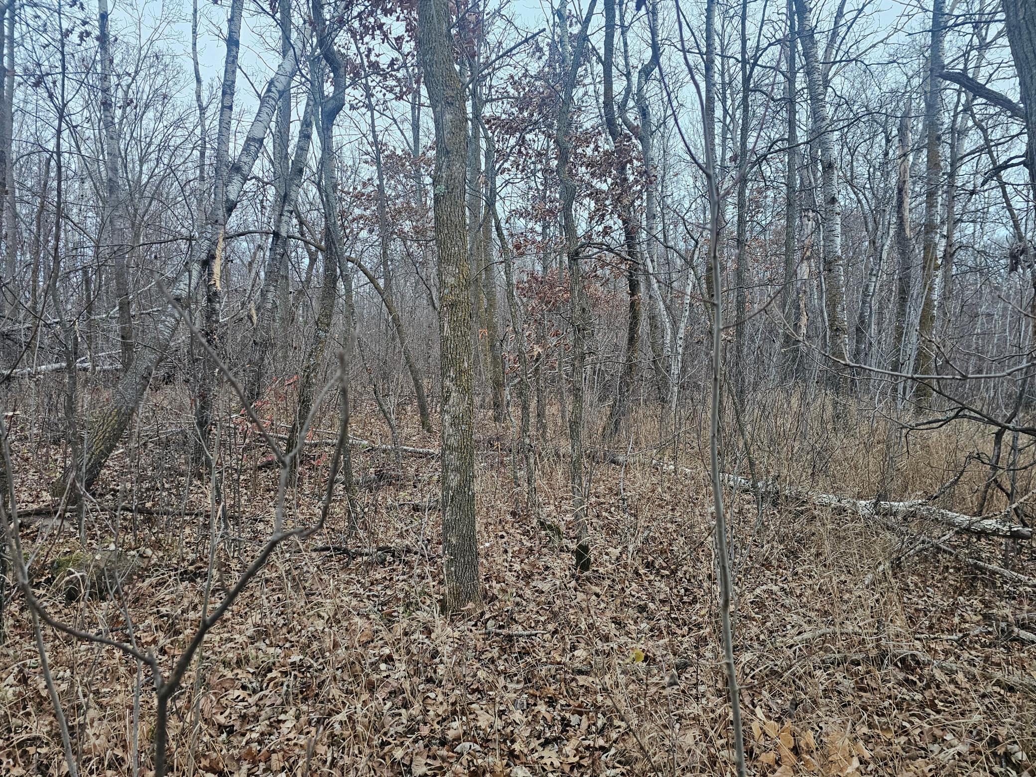 Tbd County Road 30 Property Photo 5