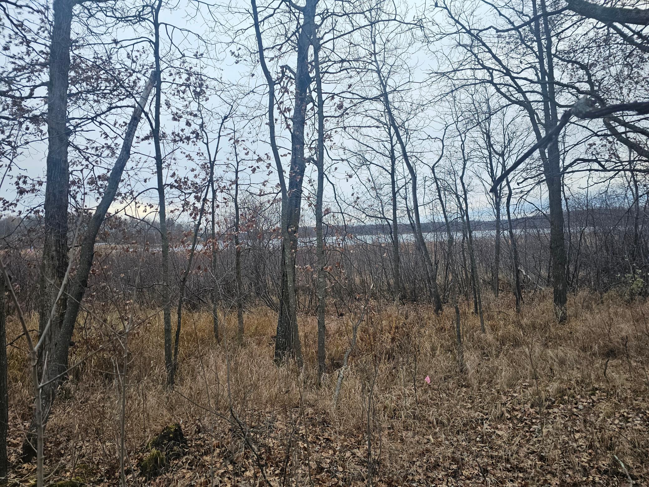 Tbd County Road 30 Property Photo 6
