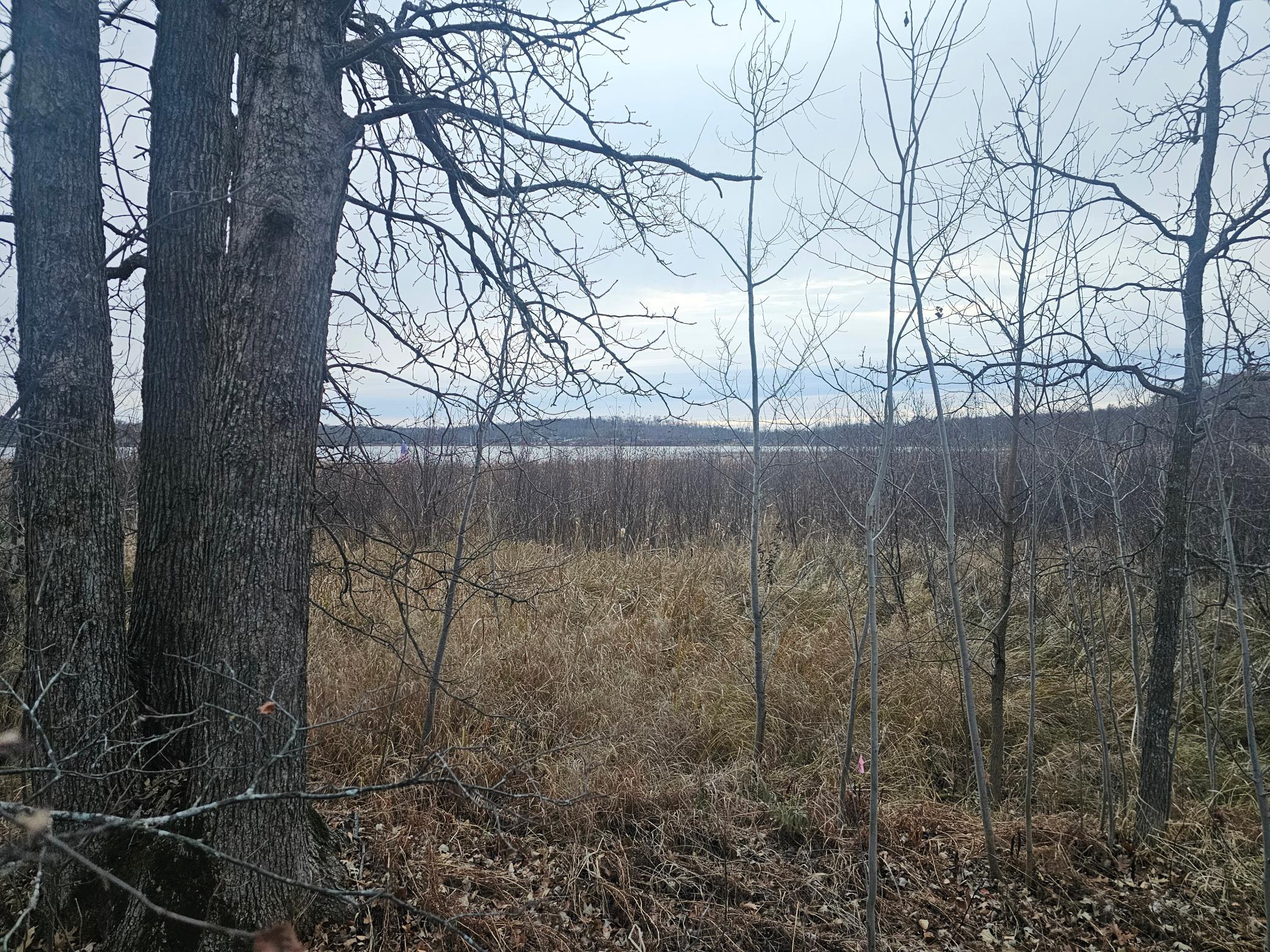 Tbd County Road 30 Property Photo 7