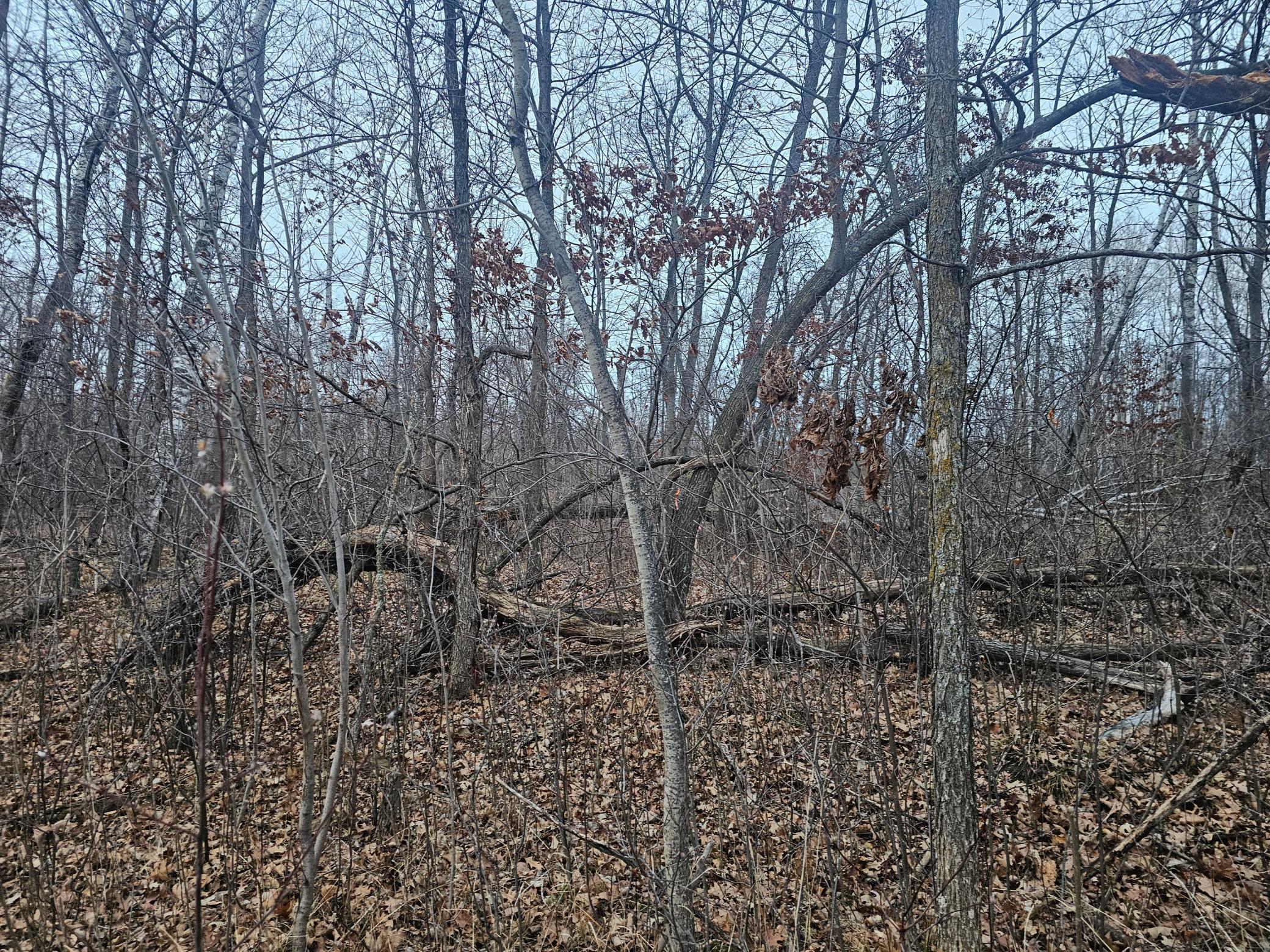 Tbd County Road 30 Property Photo 8