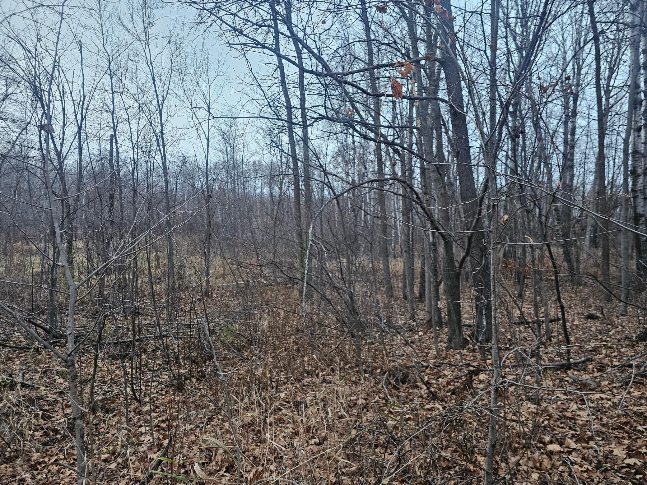 Tbd County Road 30 Property Photo 9