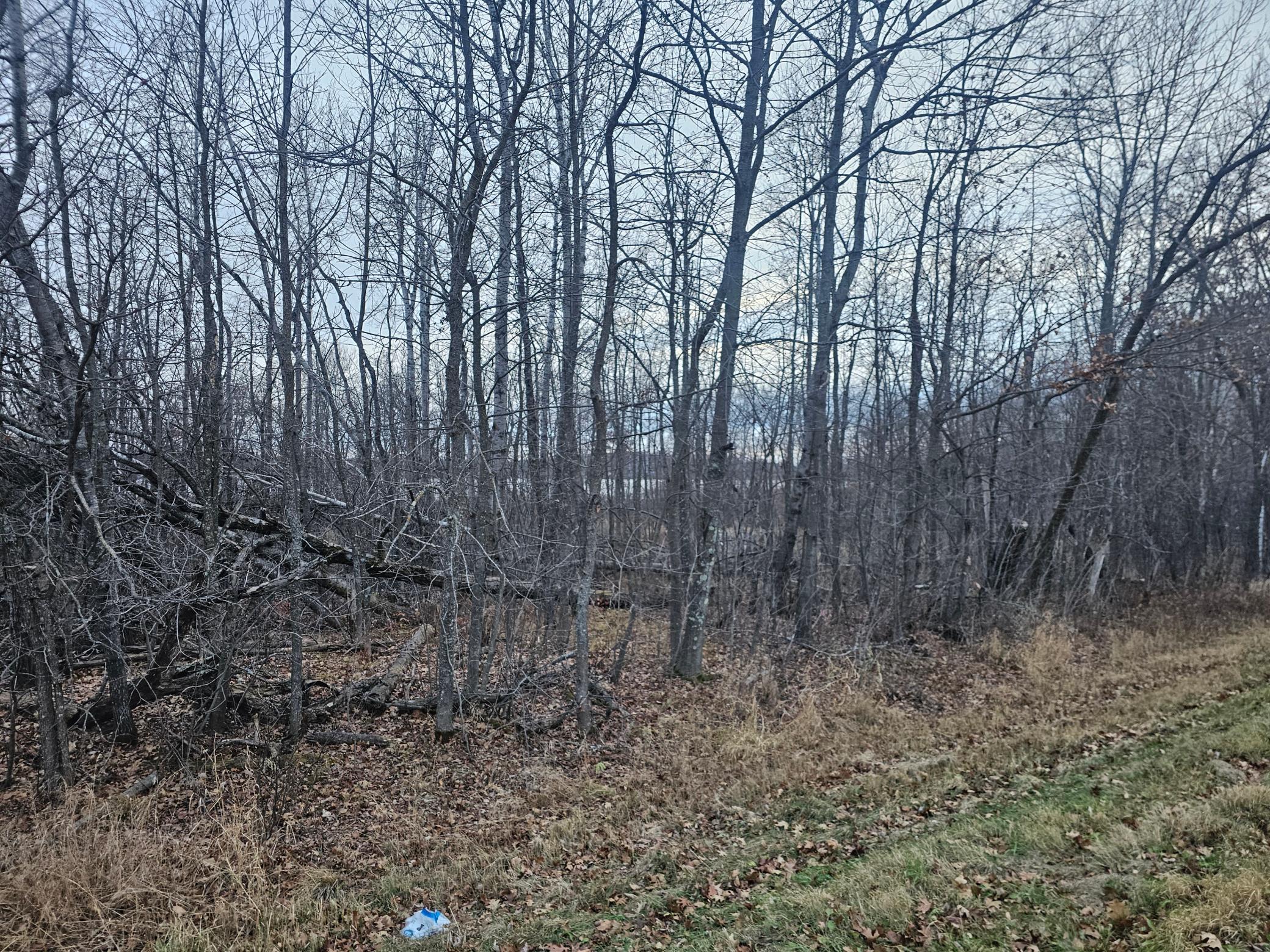 Tbd County Road 30 Property Photo 11