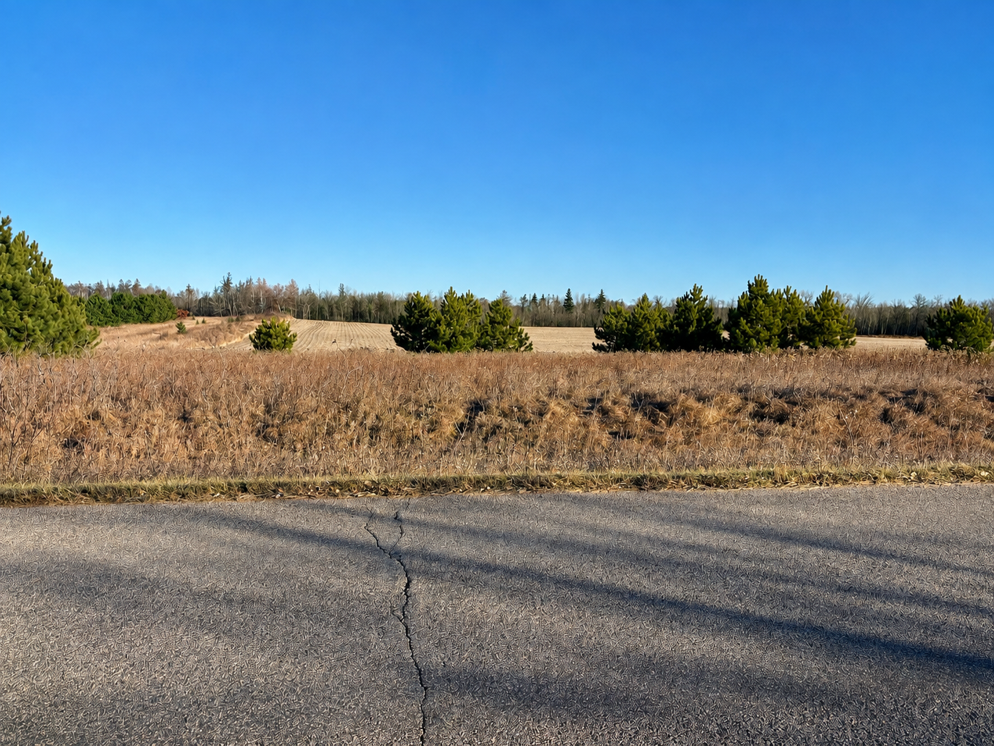 Tbd Leaf River Road Property Photo 3