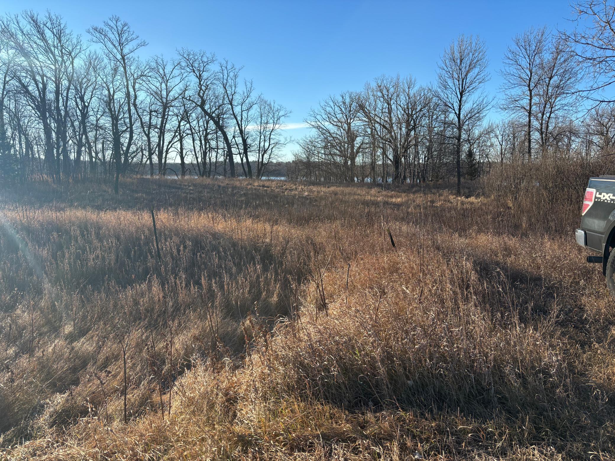 Tbd Leaf River Road Property Photo 4