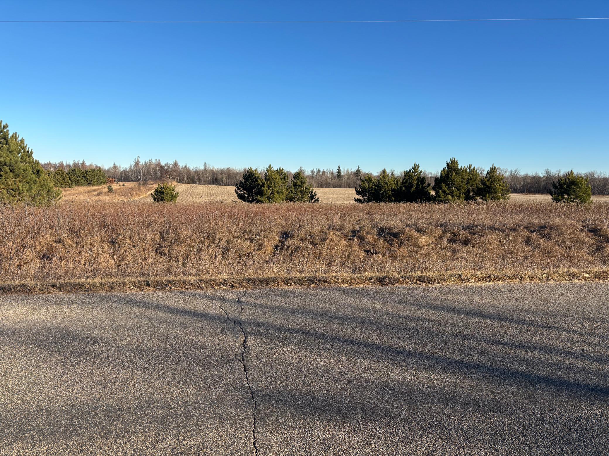Tbd Leaf River Road Property Photo 6