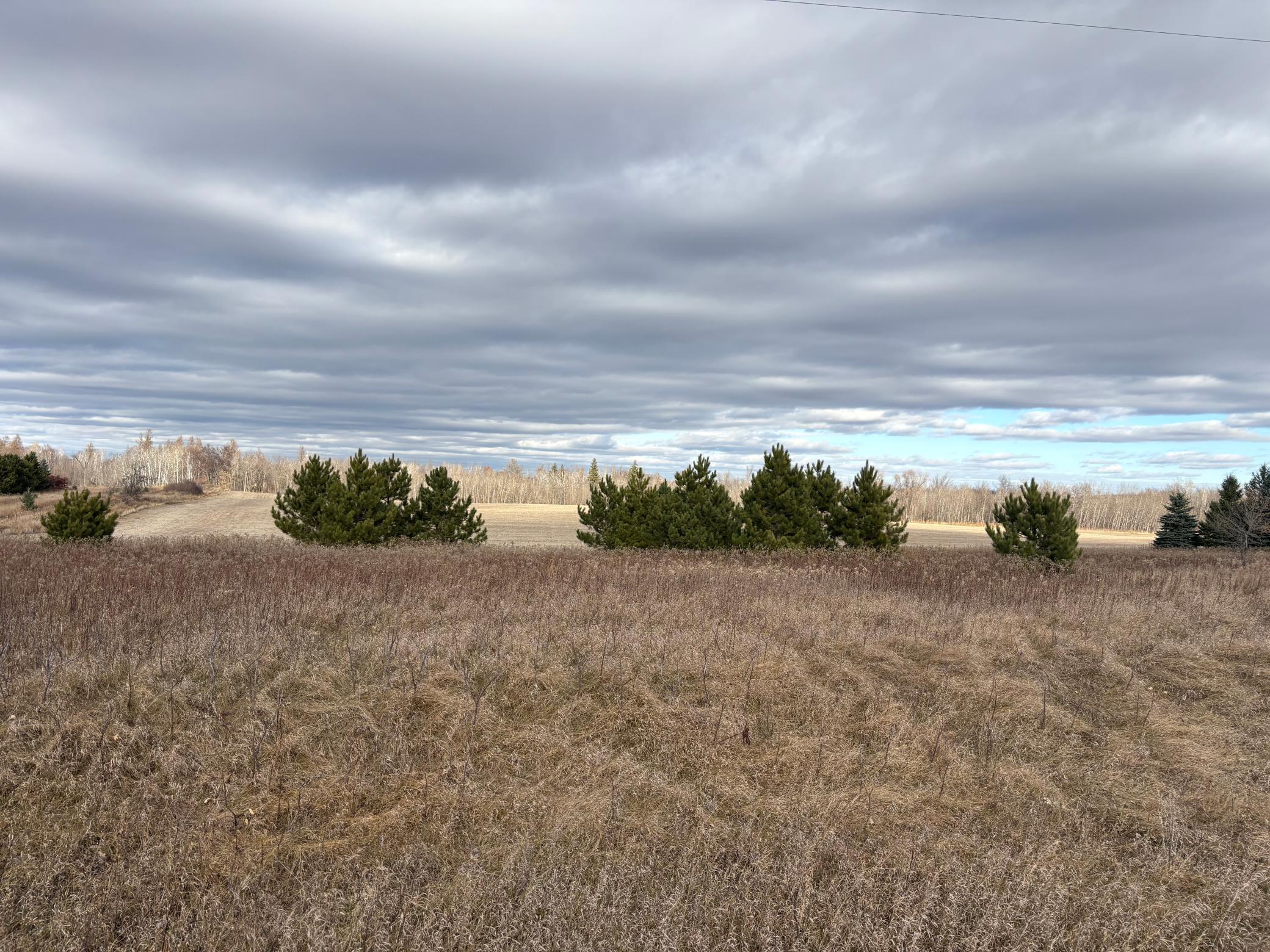 Tbd Leaf River Road Property Photo 7