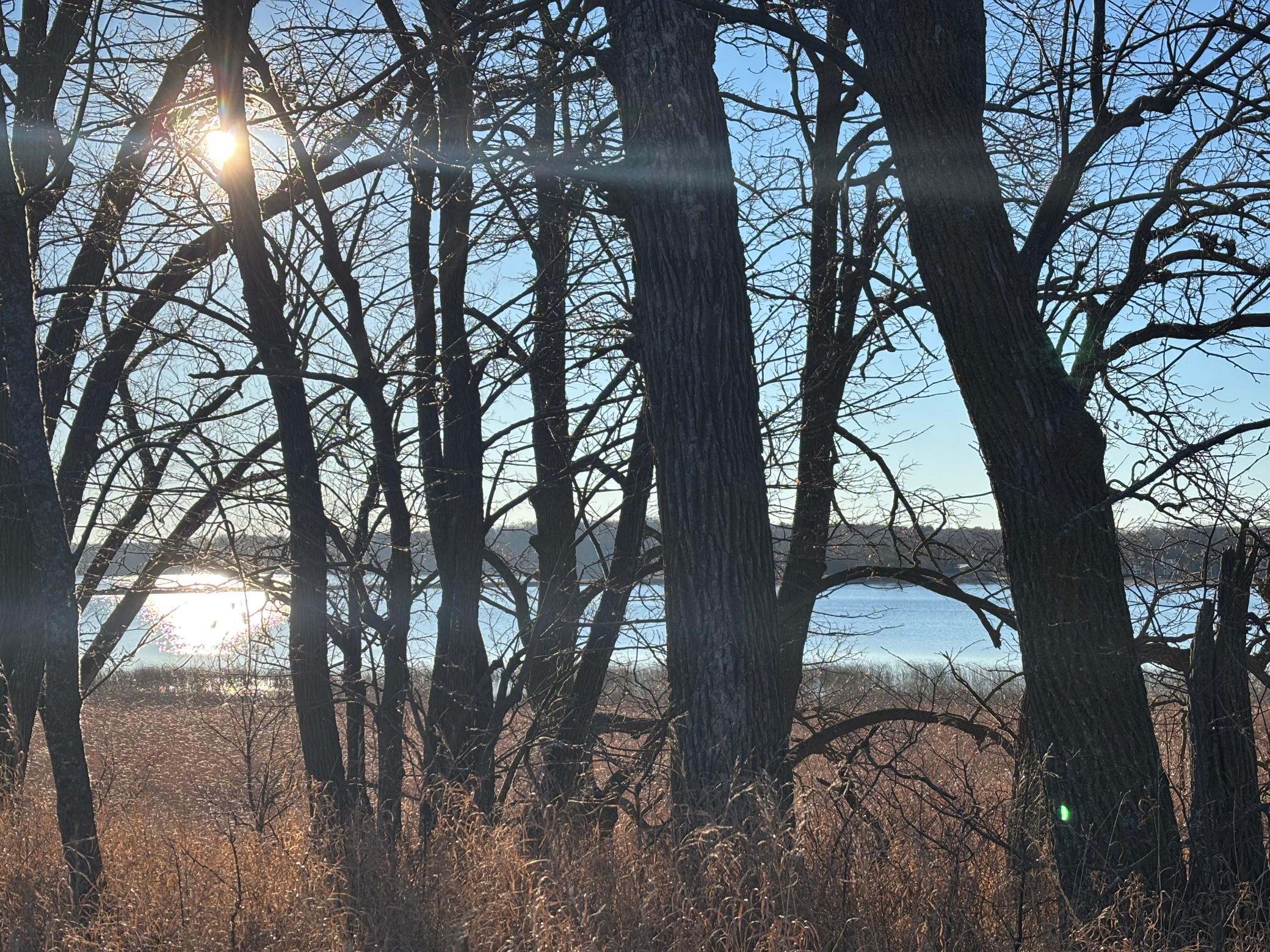 Tbd Leaf River Road Property Photo 8