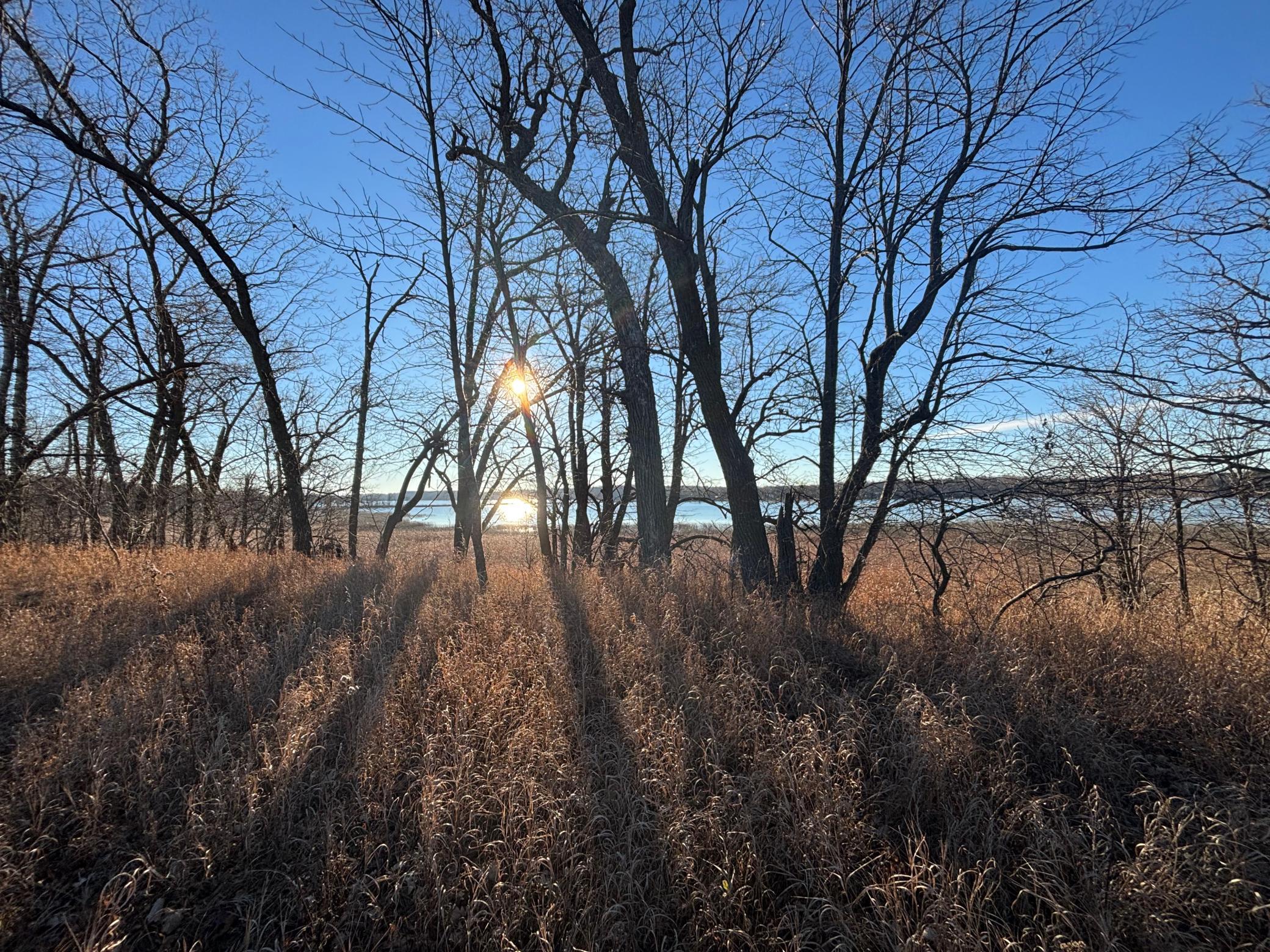 Tbd Leaf River Road Property Photo 9