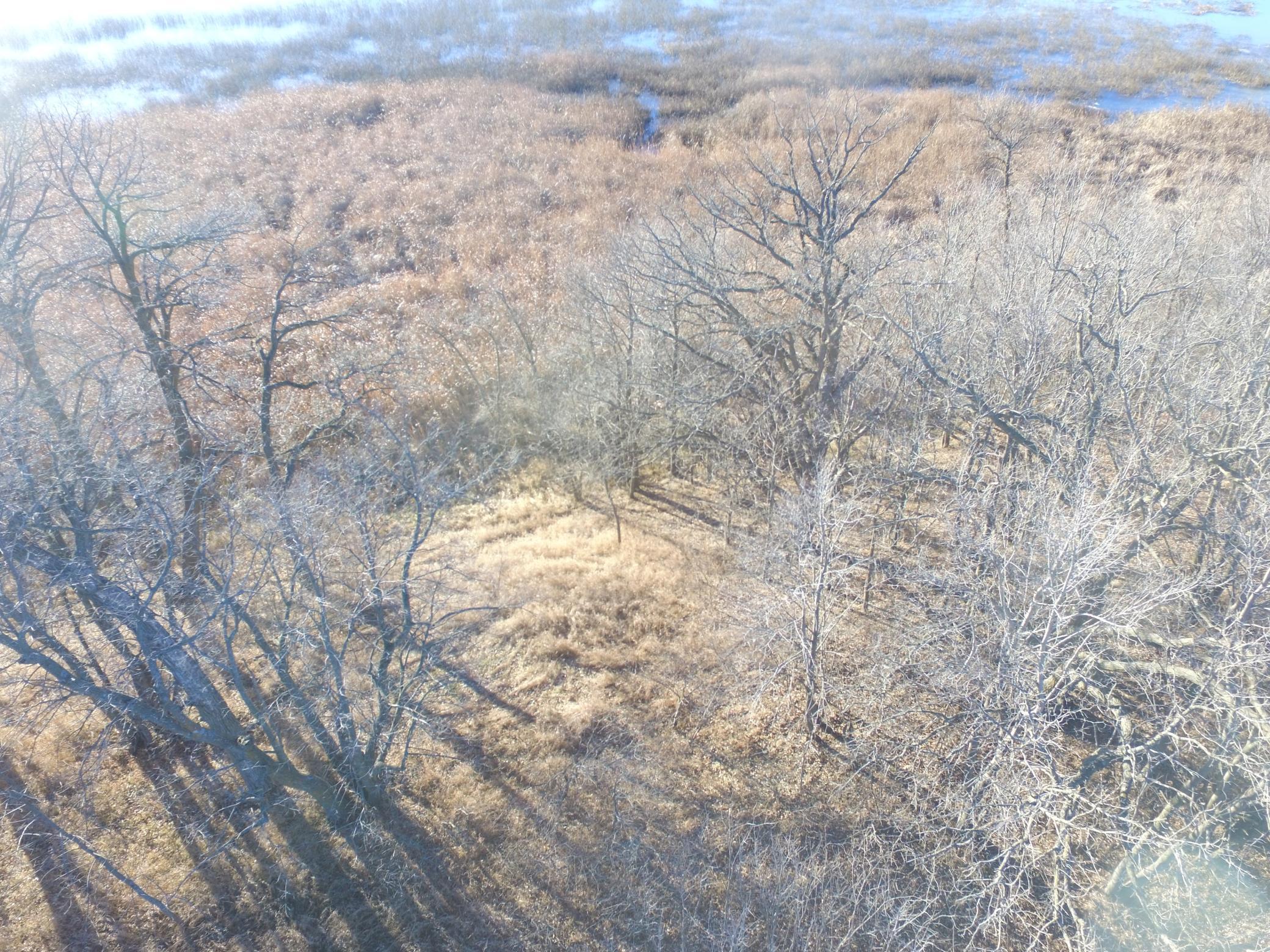 Tbd Leaf River Road Property Photo 11