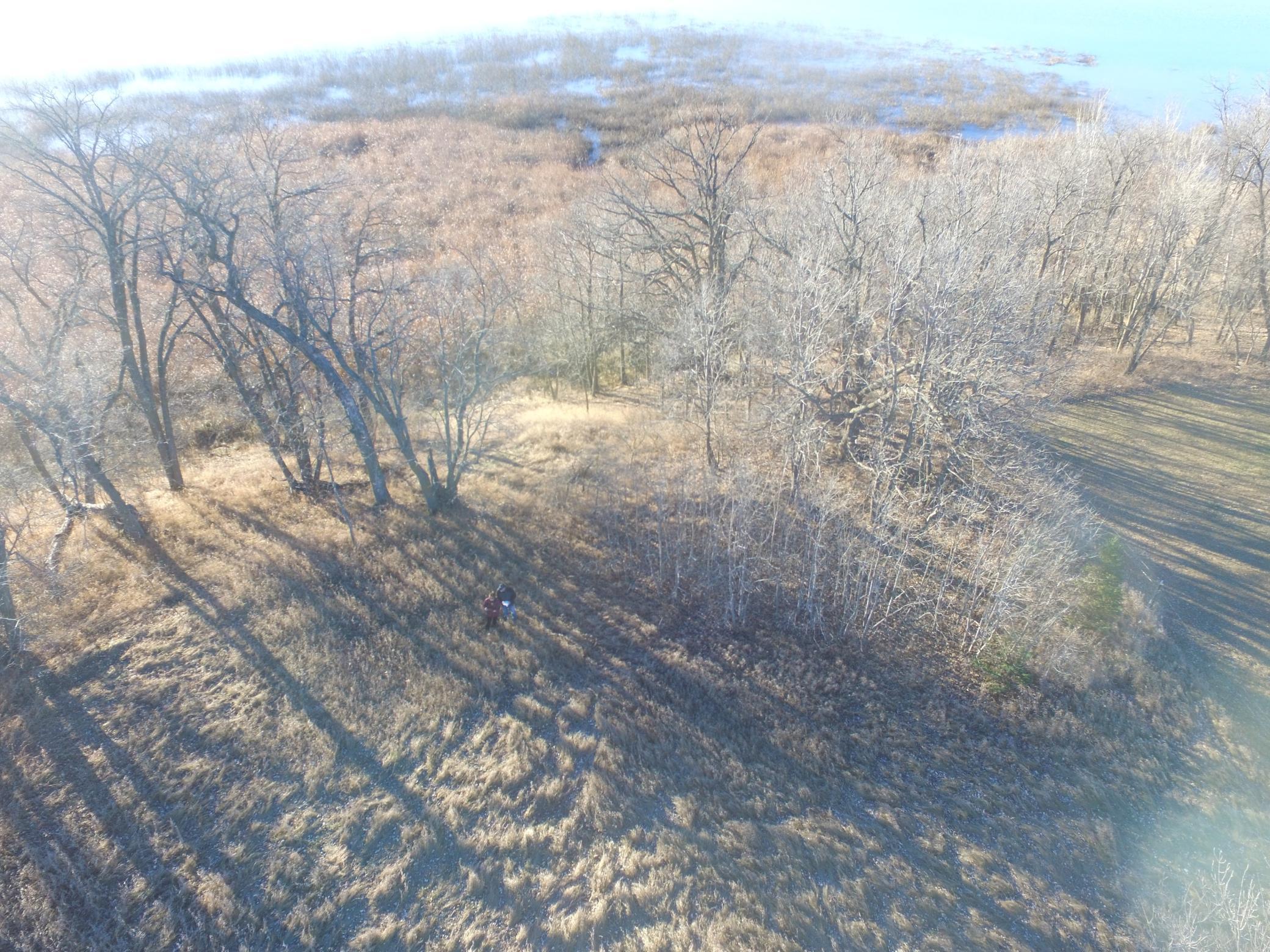Tbd Leaf River Road Property Photo 14