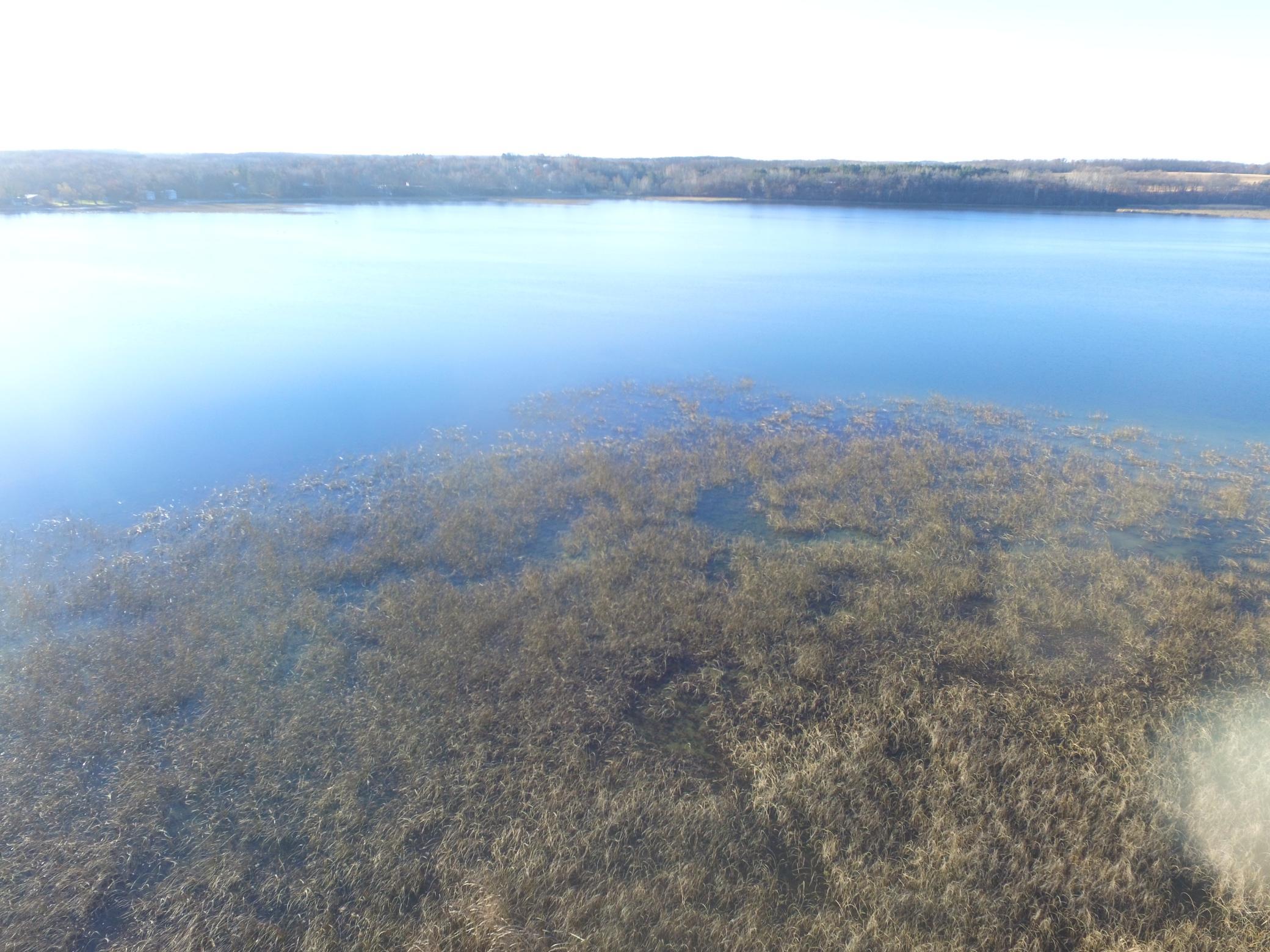 Tbd Leaf River Road Property Photo 15