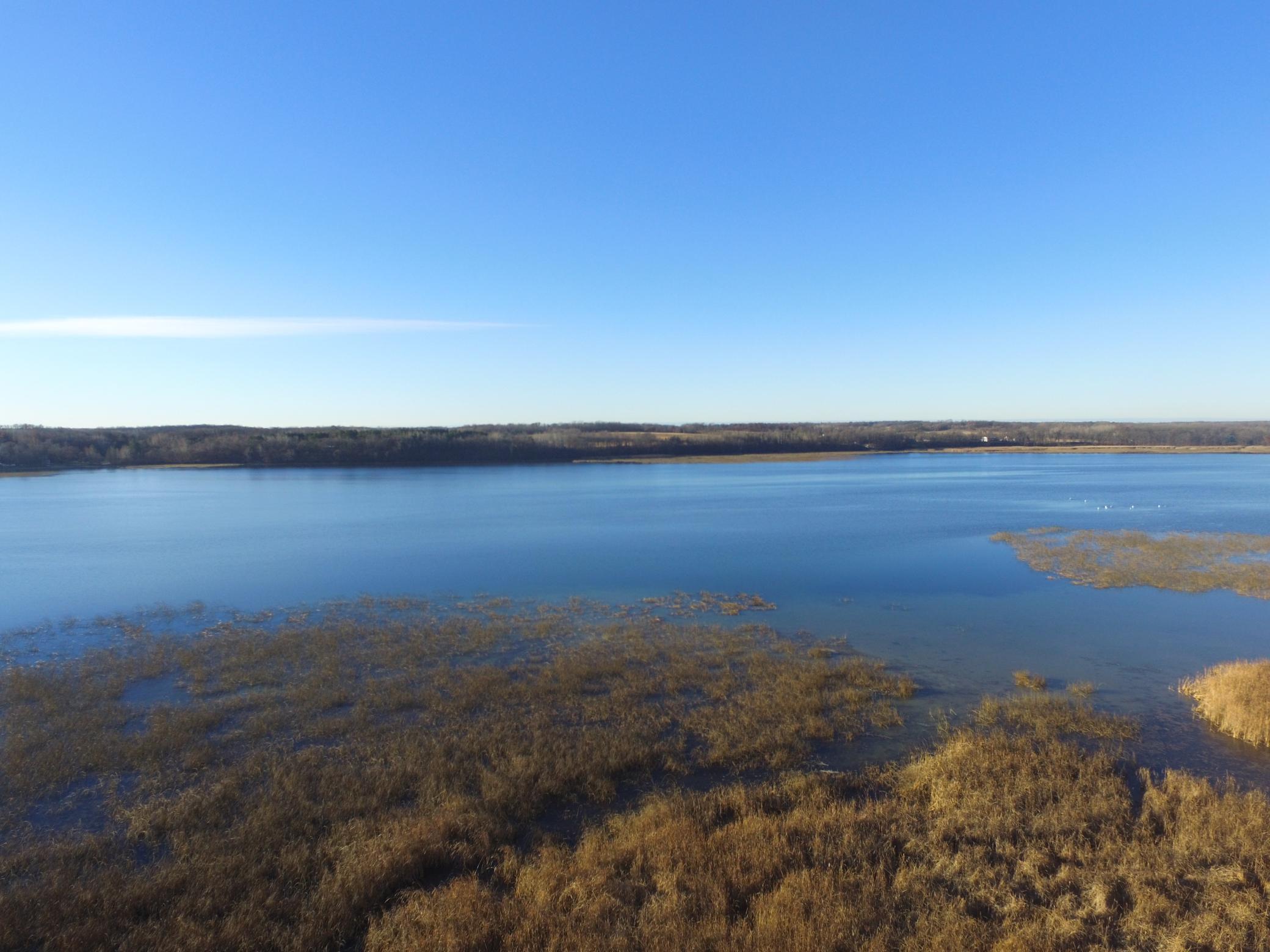 Tbd Leaf River Road Property Photo 17