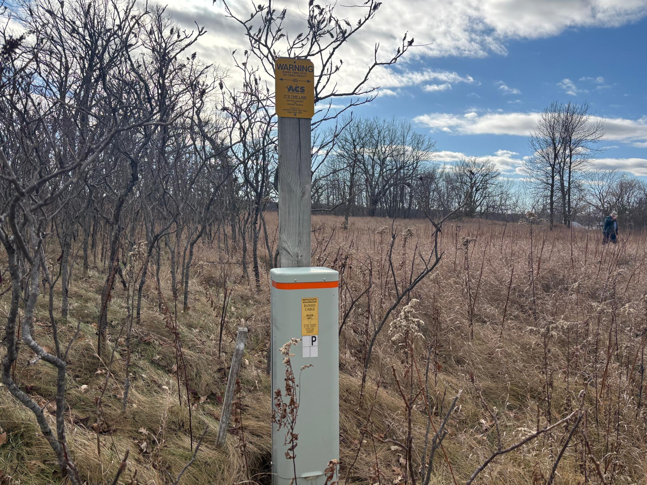 Tbd Leaf River Road Property Photo 19