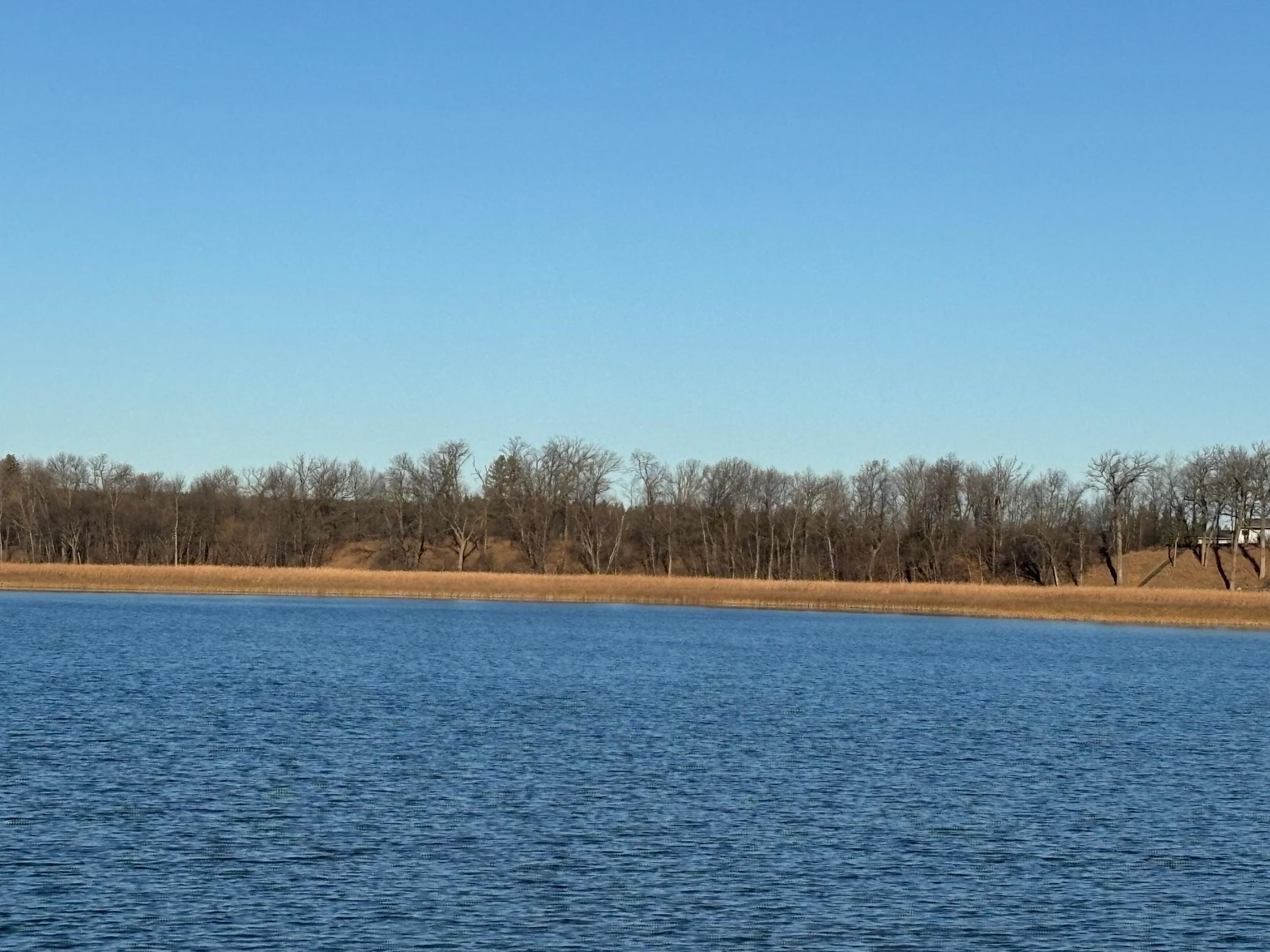 Tbd Leaf River Road Property Photo 20
