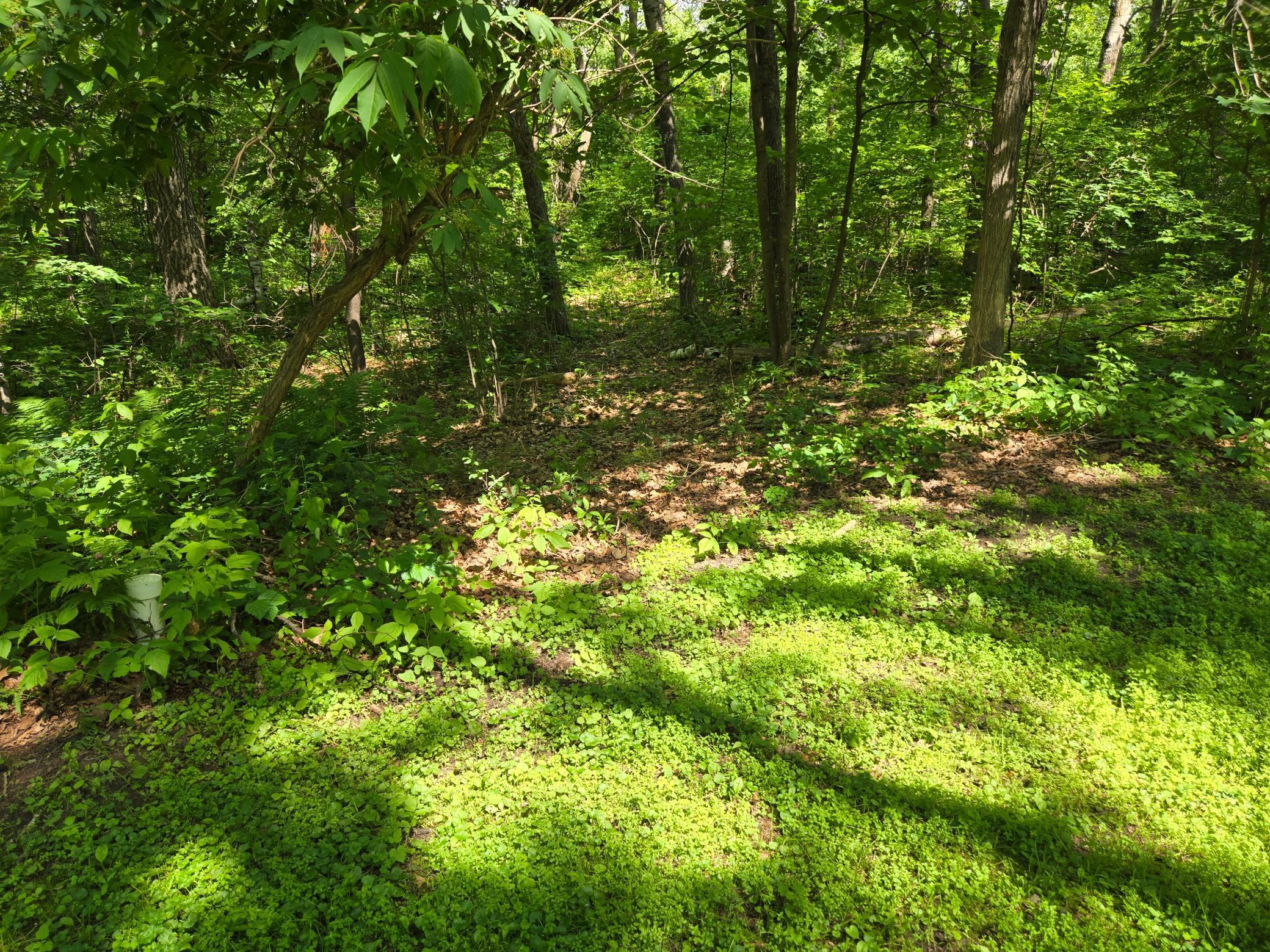 4570 Pine Point Drive Nw Property Photo 9
