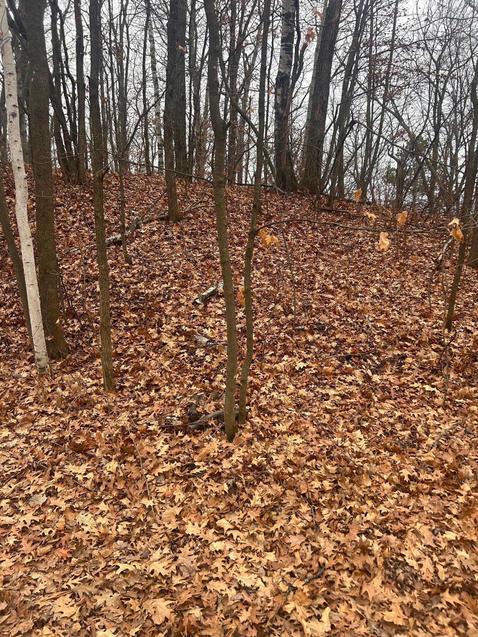 Tbd Golf Course Cir Property Photo 1