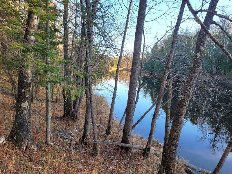 Xxx Rapid River Property Photo 3