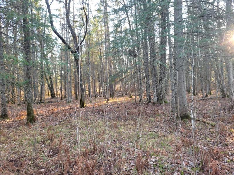 Xxx Rapid River Property Photo 4