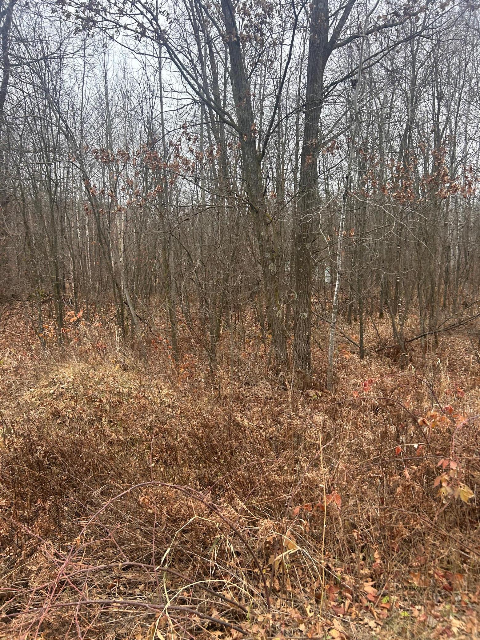TBD Lake Camile Property Photo 1