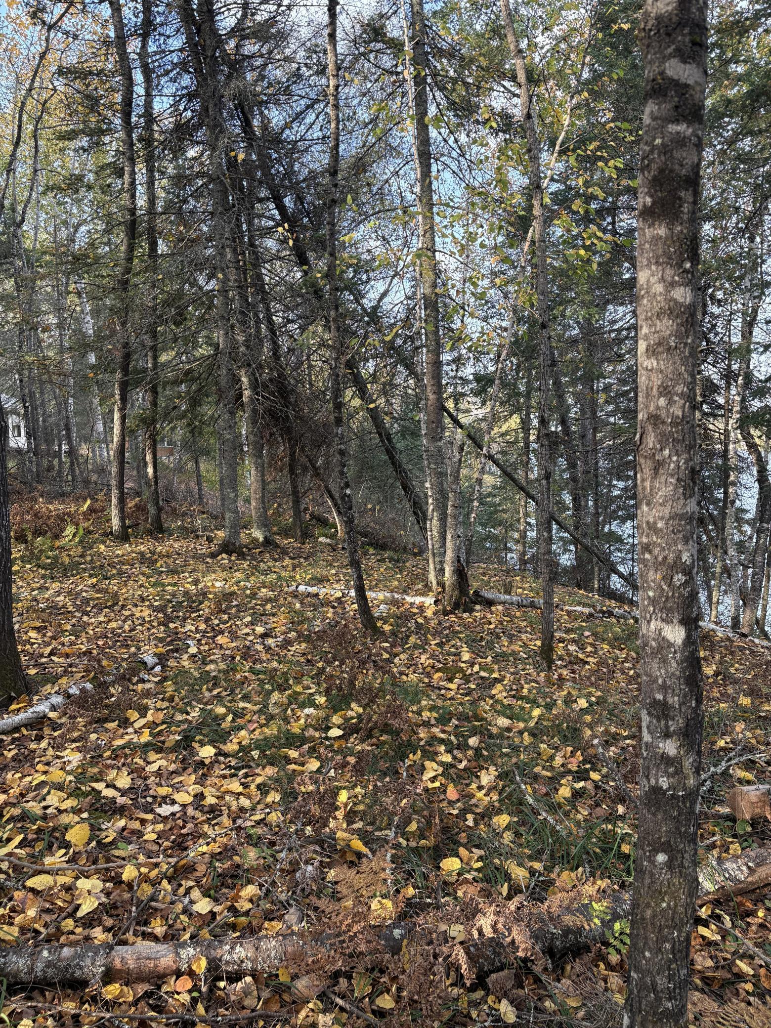 0000 Bass Lake Road Property Photo 19