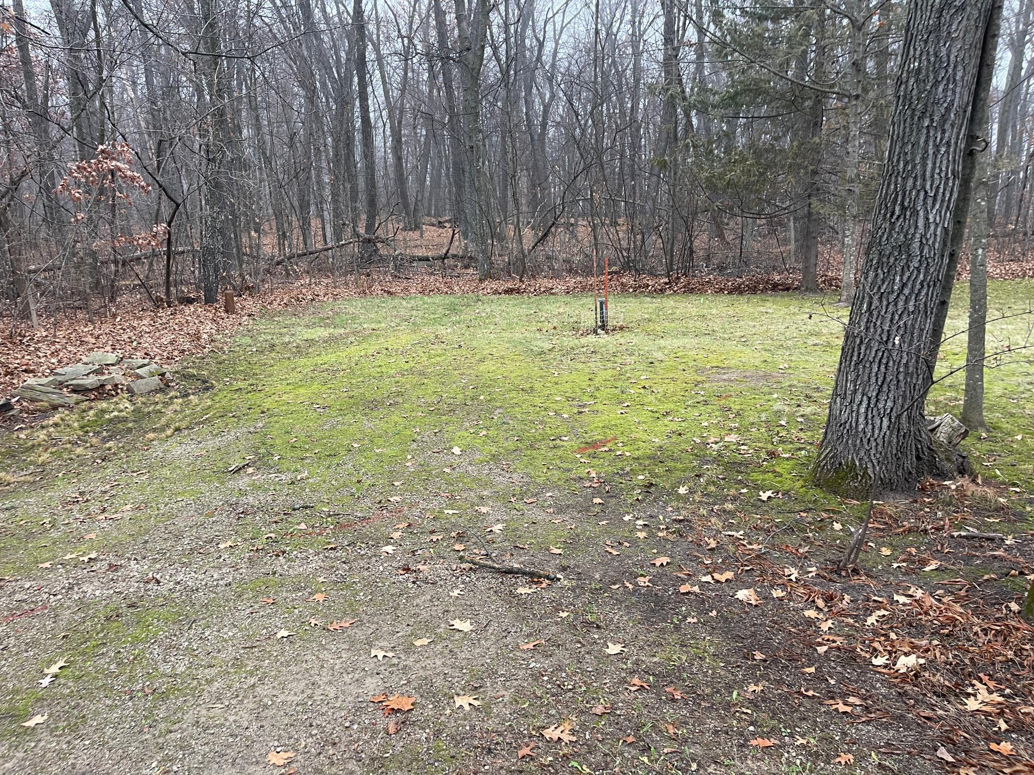 7340 County Road 19 Se Property Photo 59
