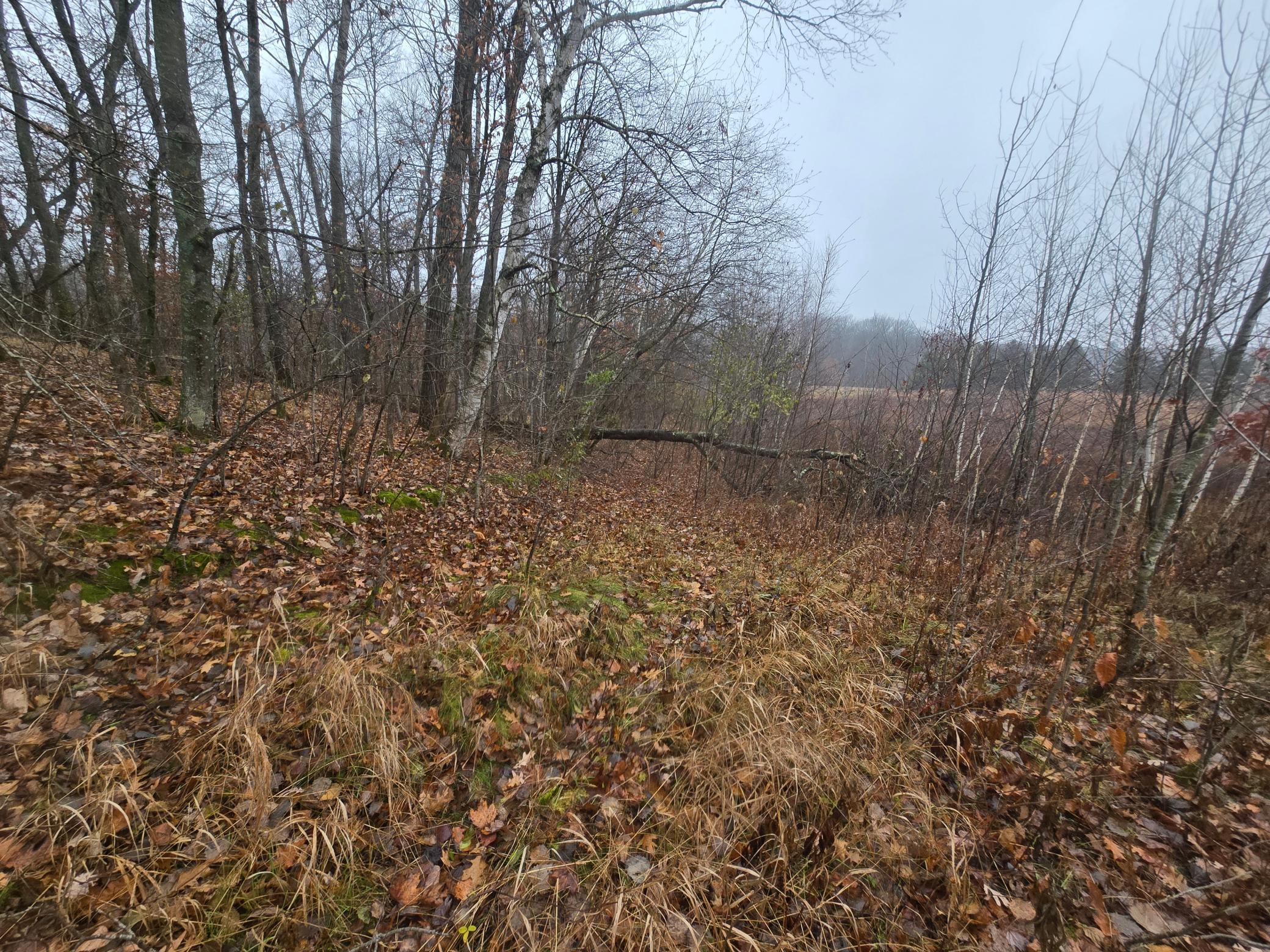 Xxxx 244th St N Property Photo 6