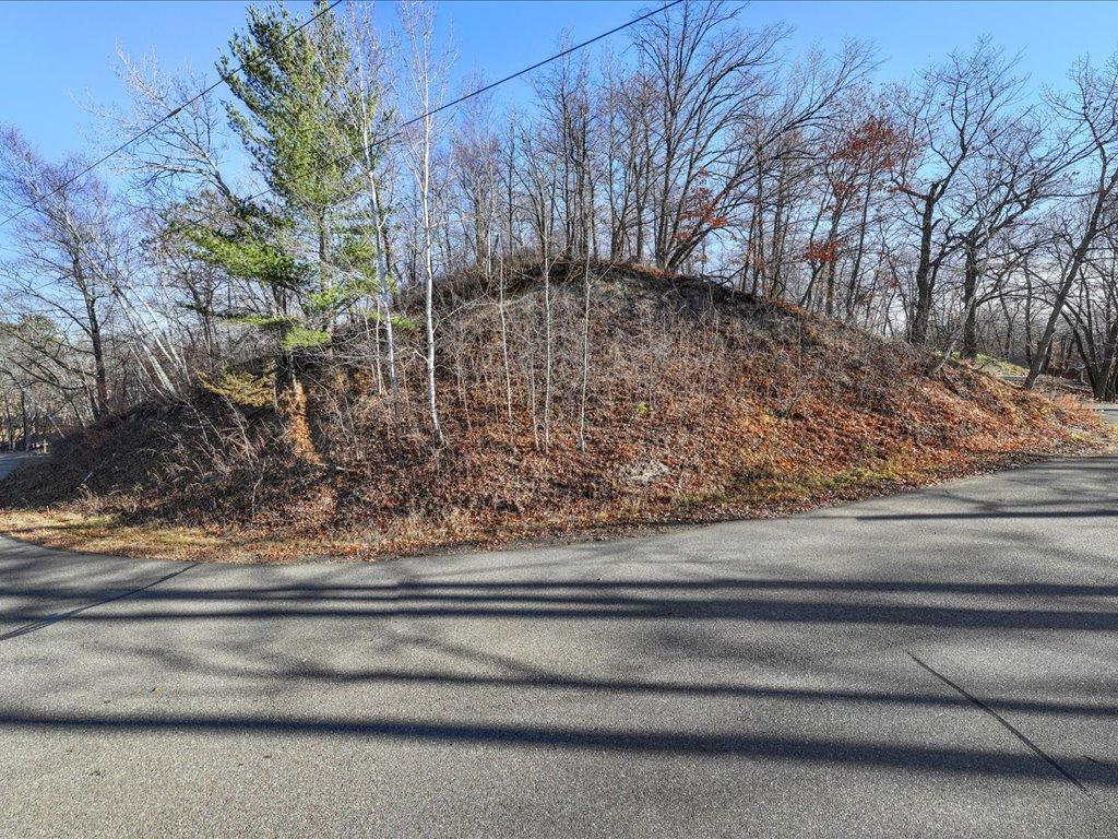 Tbd Lakeview Drive Property Photo 10