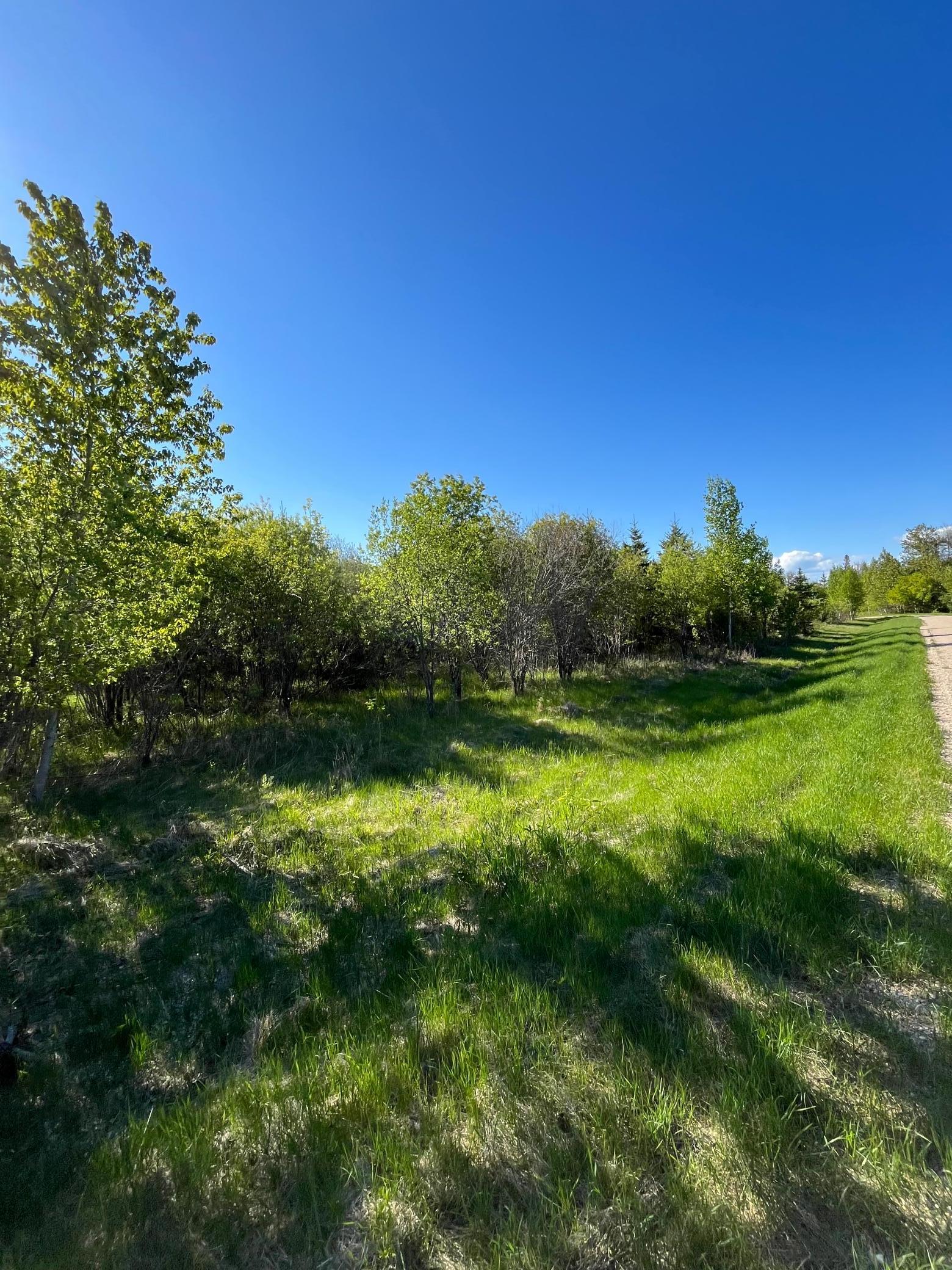 Lot 4 - Tbd 330th Street Property Photo 1