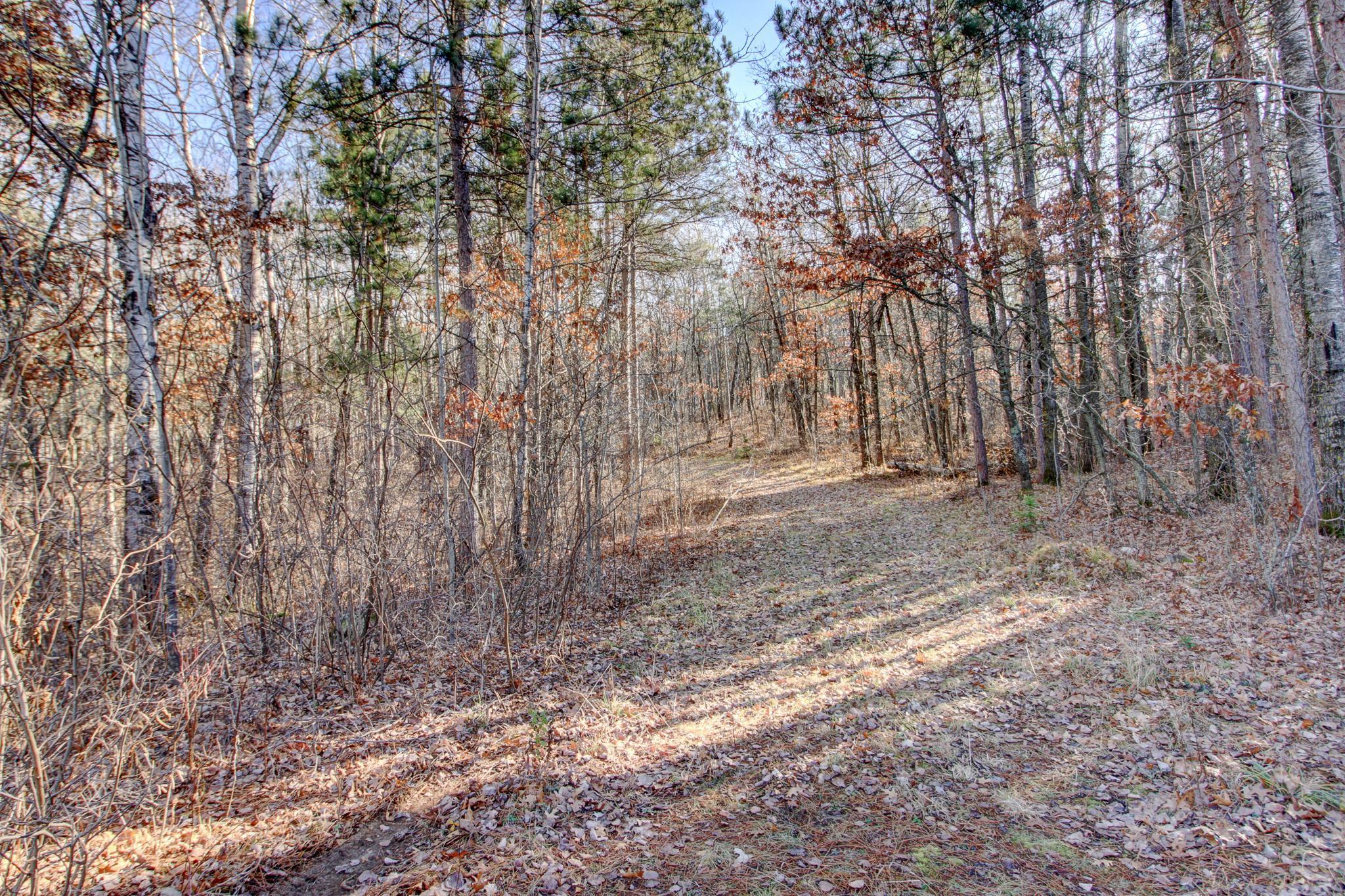 15861 Fortune Drive Property Photo 27