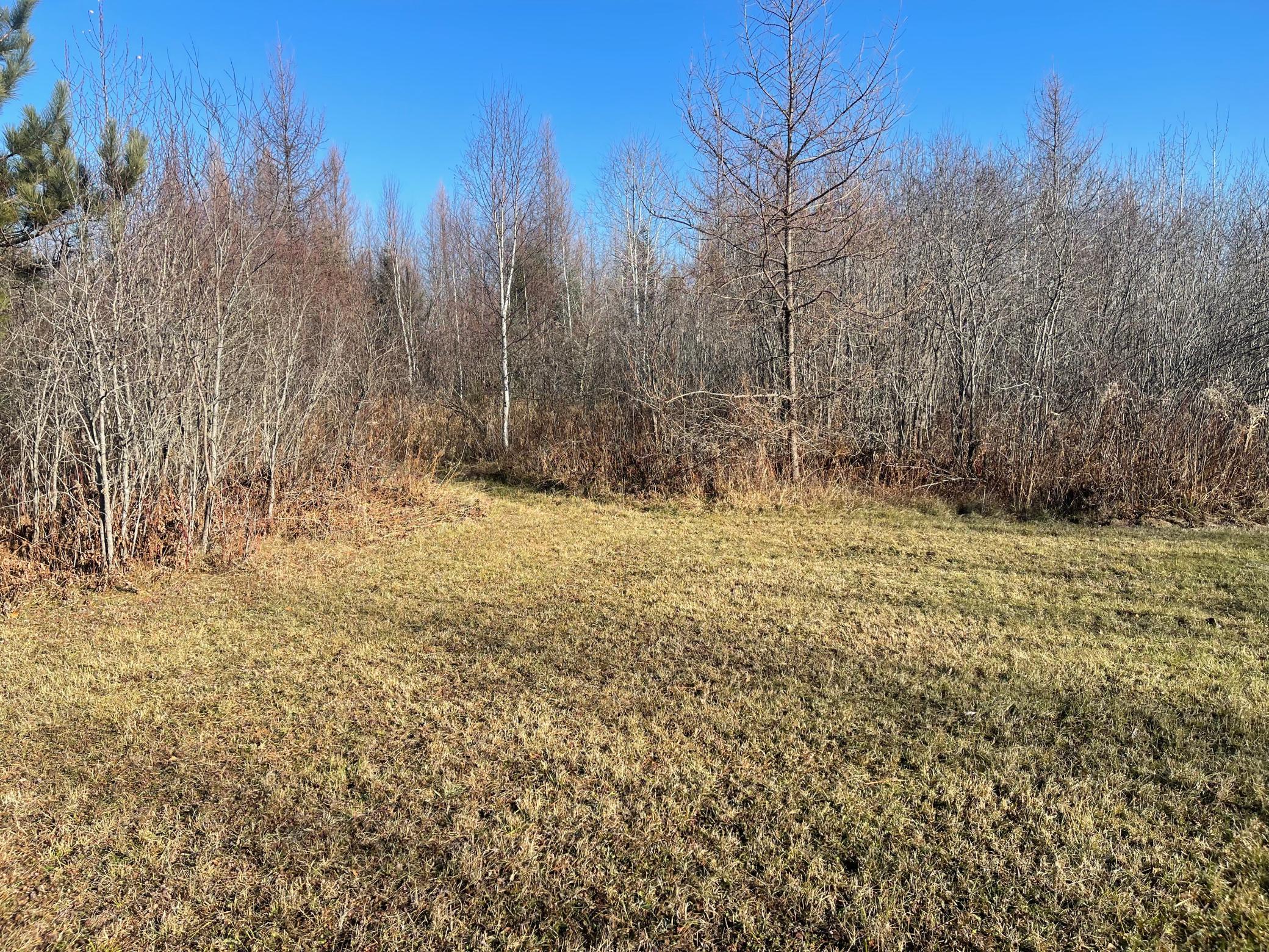 13994 County Road 425 Property Photo 11