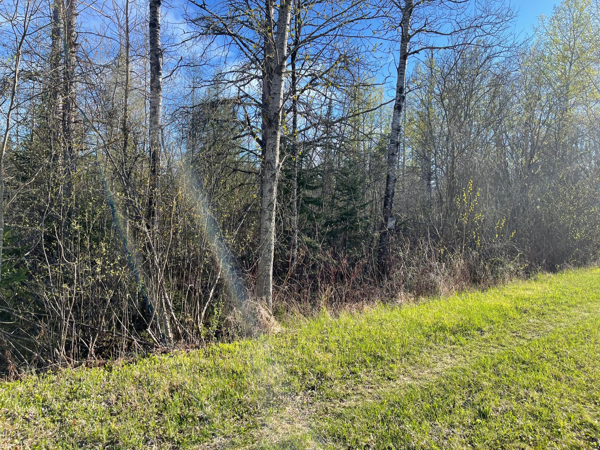 508 Cedar Valley Rd Property Photo 9