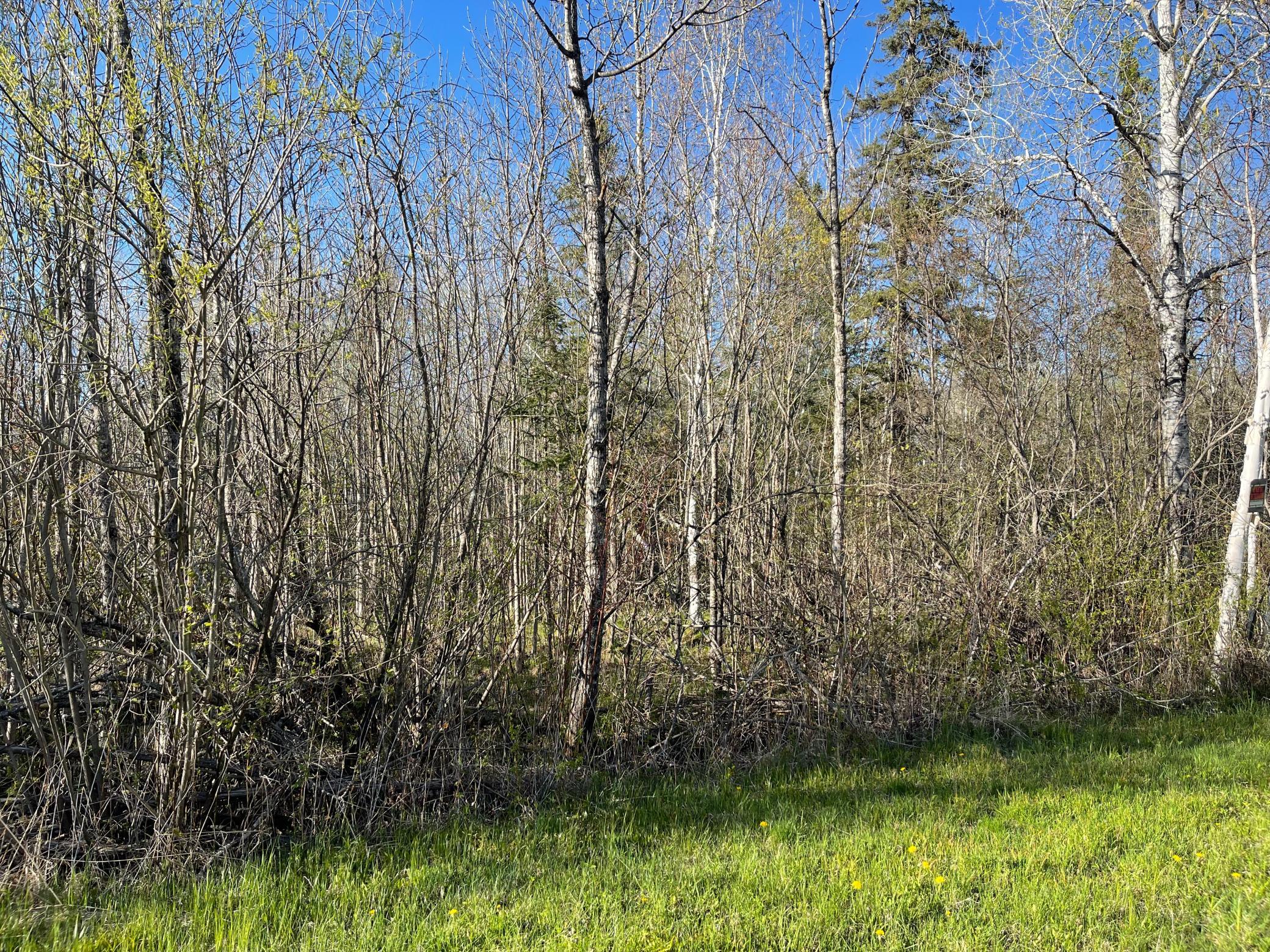 508 Cedar Valley Rd Property Photo 10