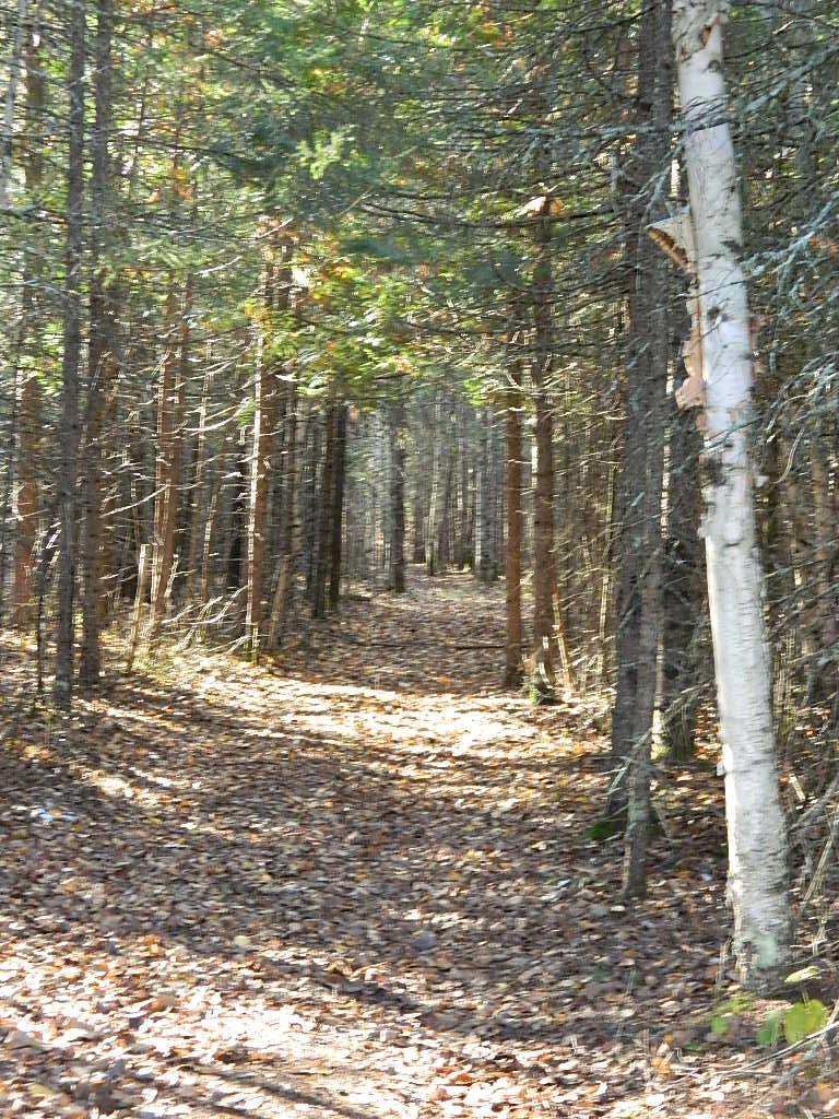 9372 County Road 32 W Property Photo 11