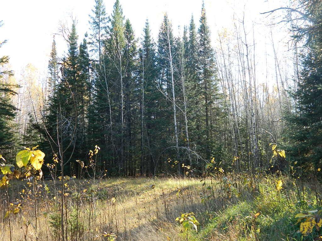9372 County Road 32 W Property Photo 12