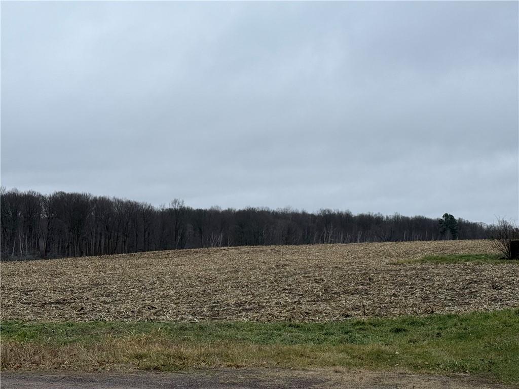 Lot 1 County Hwy D Property Photo 1