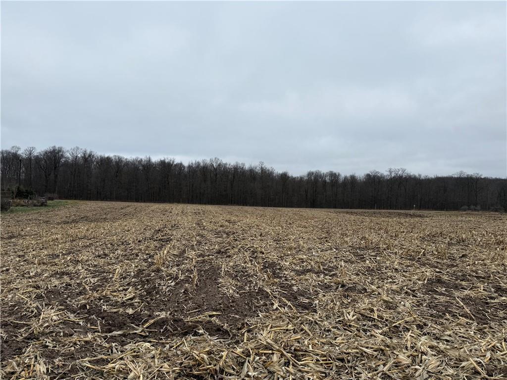Lot 1 County Hwy D Property Photo 2