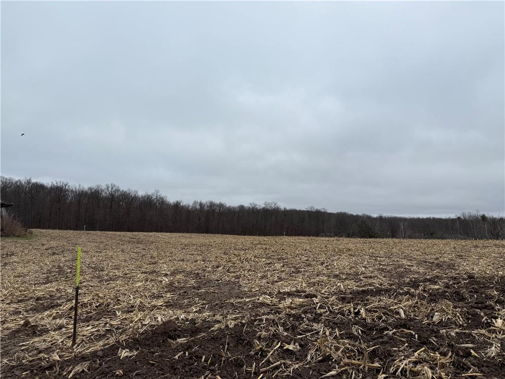 Lot 1 County Hwy D Property Photo 3