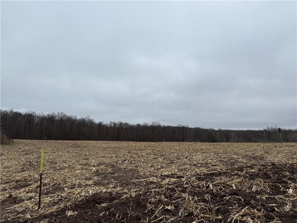 Lot 1 County Hwy D Property Photo 4