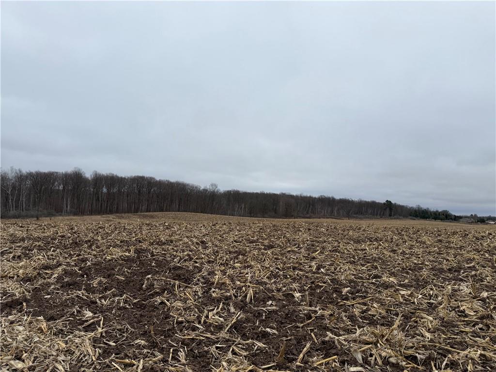 Lot 1 County Hwy D Property Photo 5