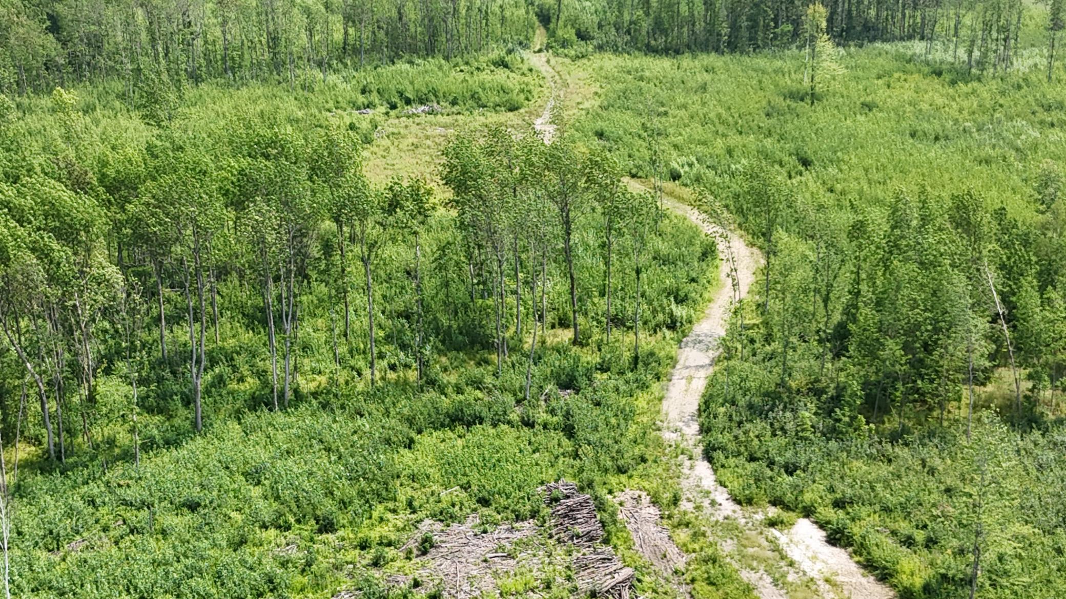 17 E County Road Property Photo 1