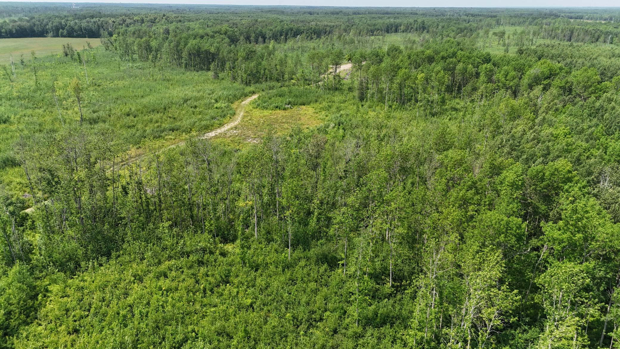 17 E County Road Property Photo 4