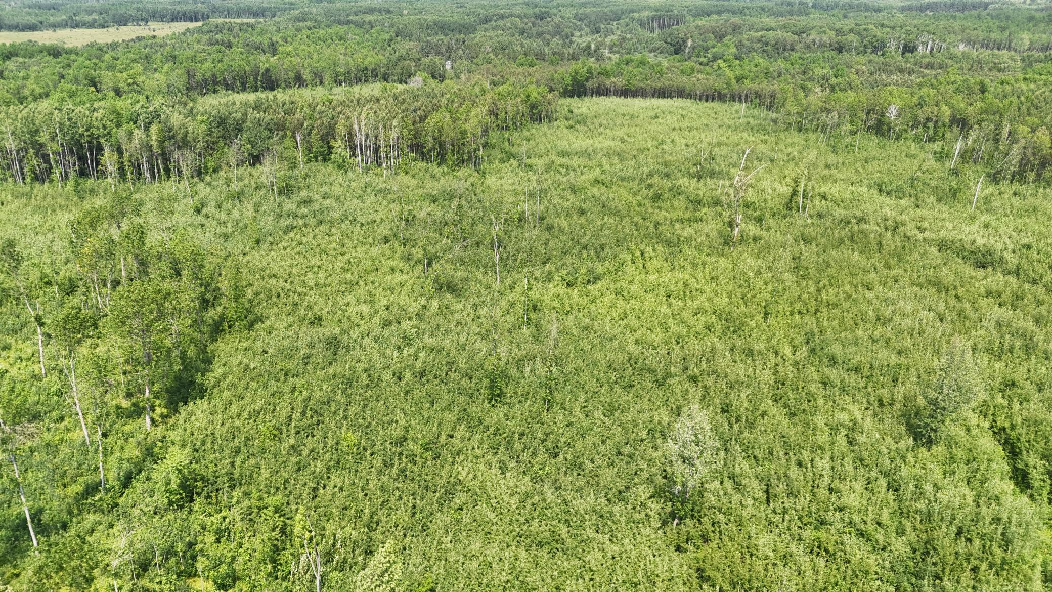 17 E County Road Property Photo 9