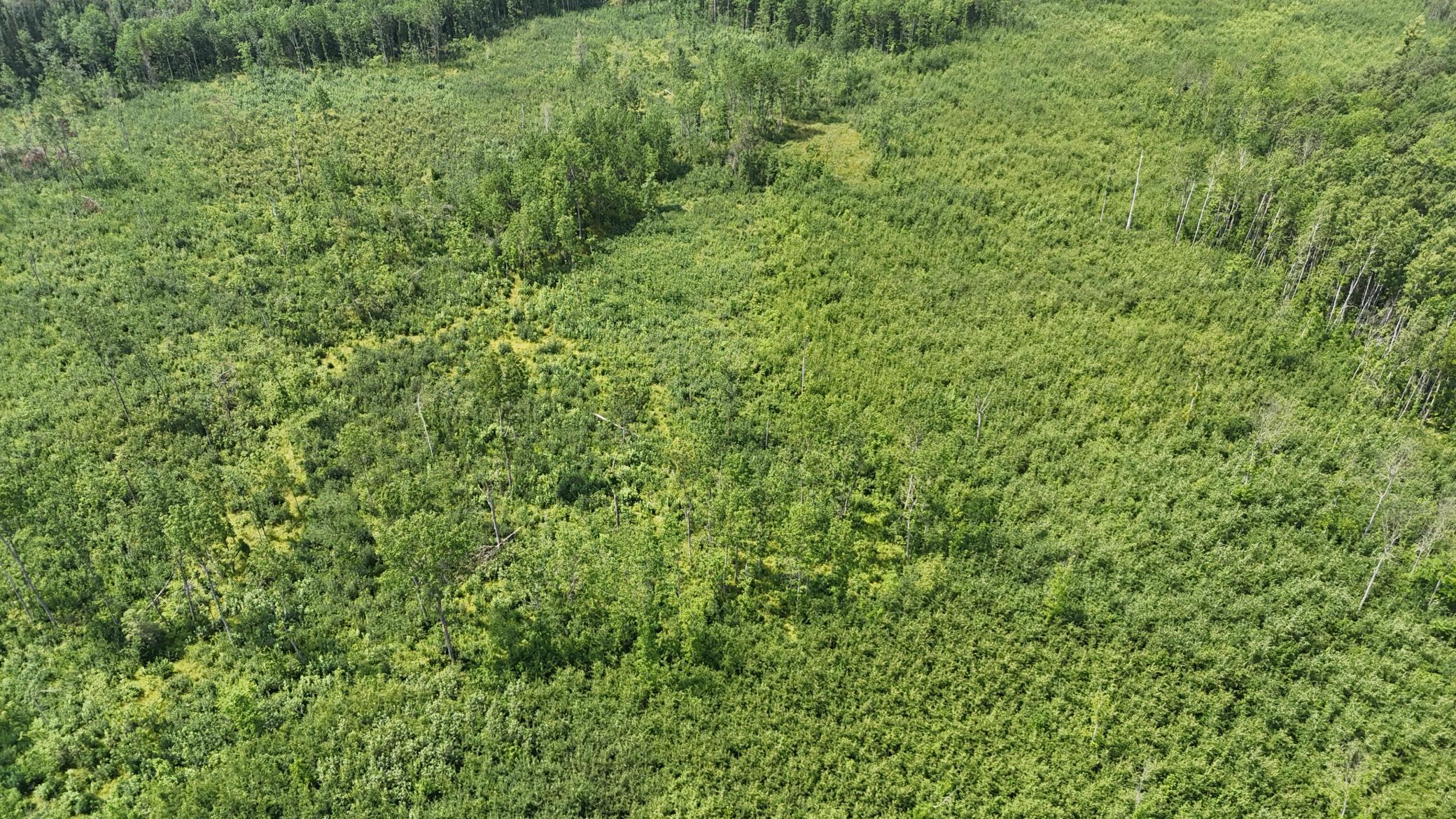 17 E County Road Property Photo 10