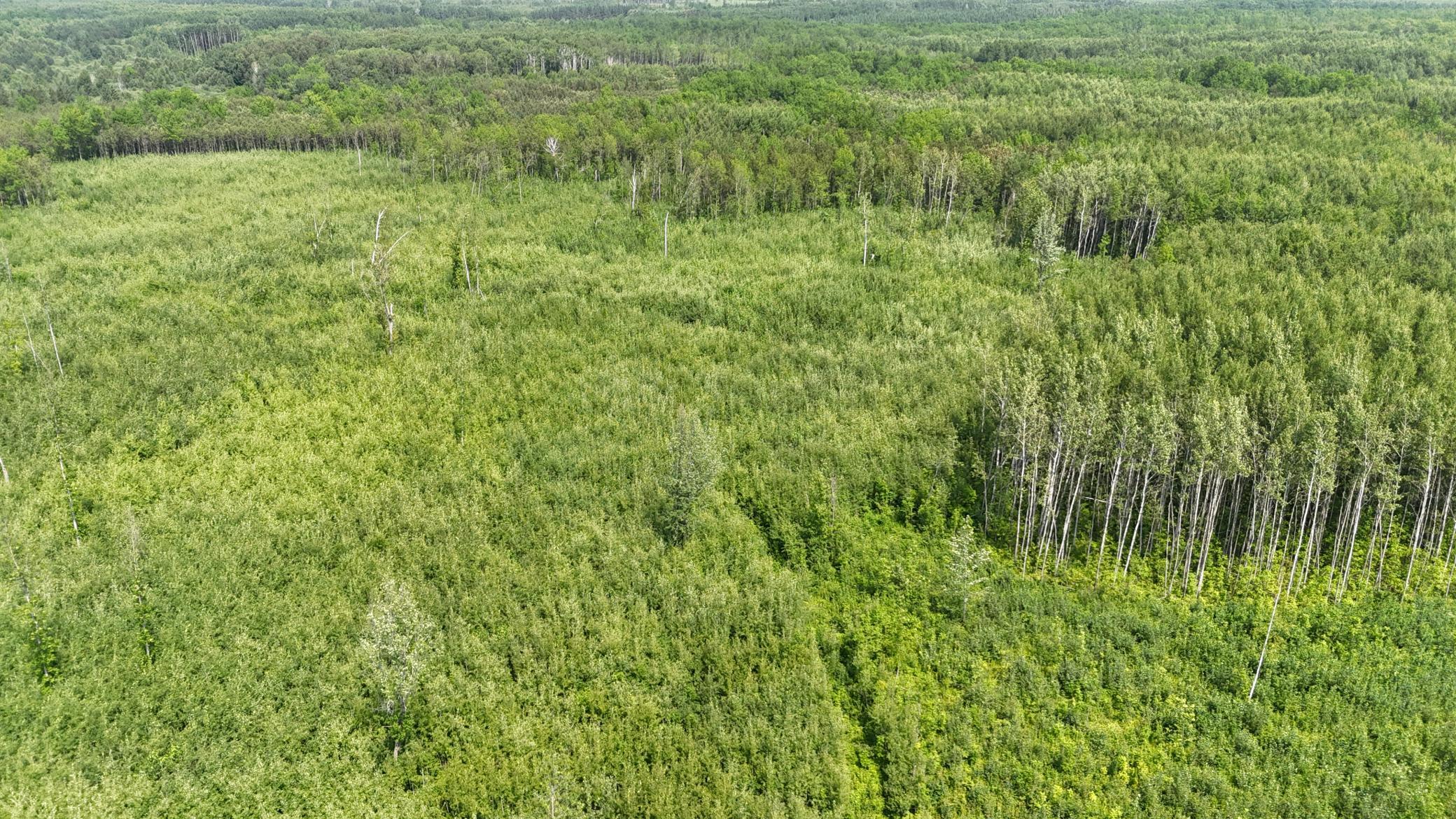 17 E County Road Property Photo 13