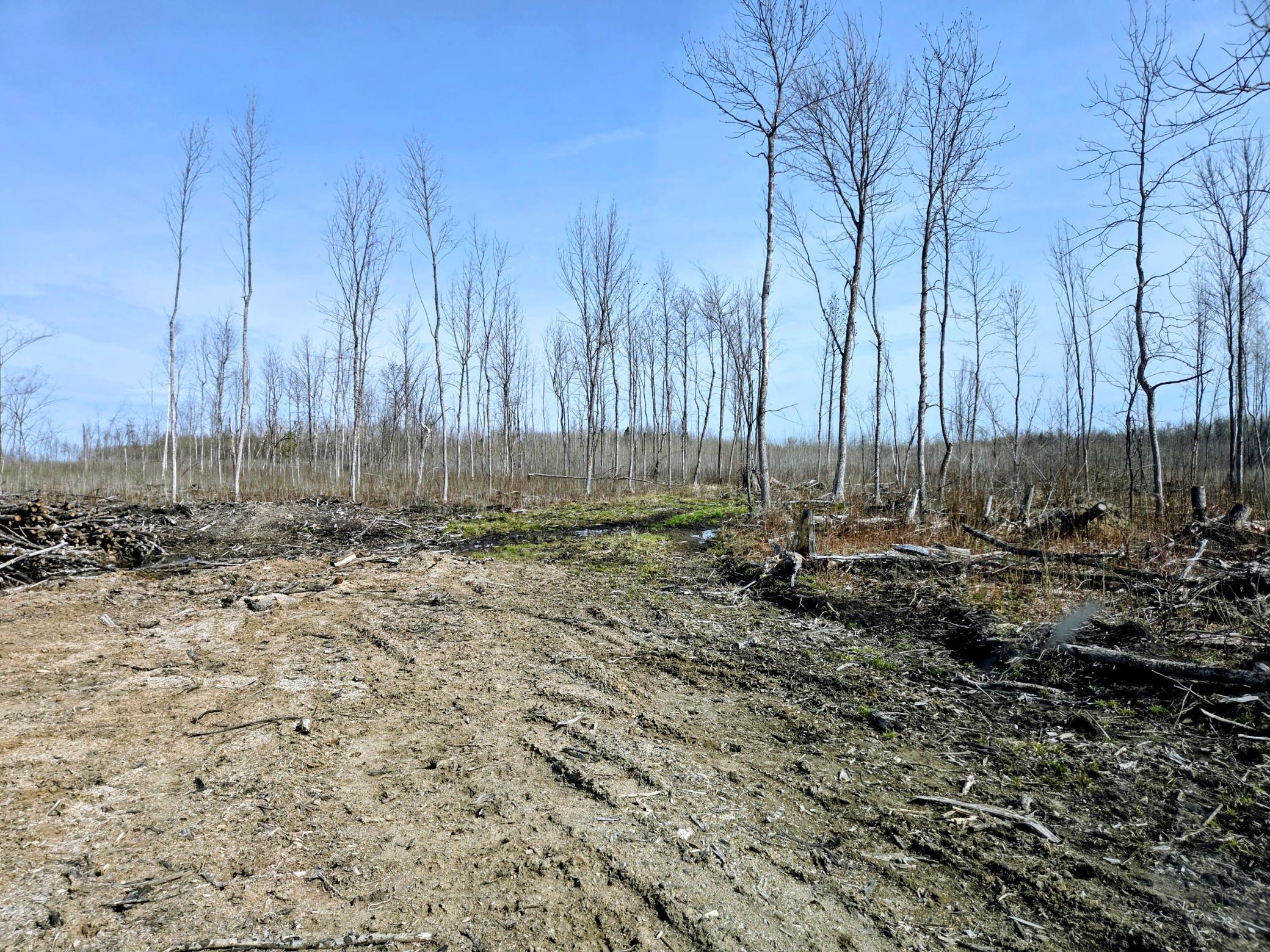 17 E County Road Property Photo 14