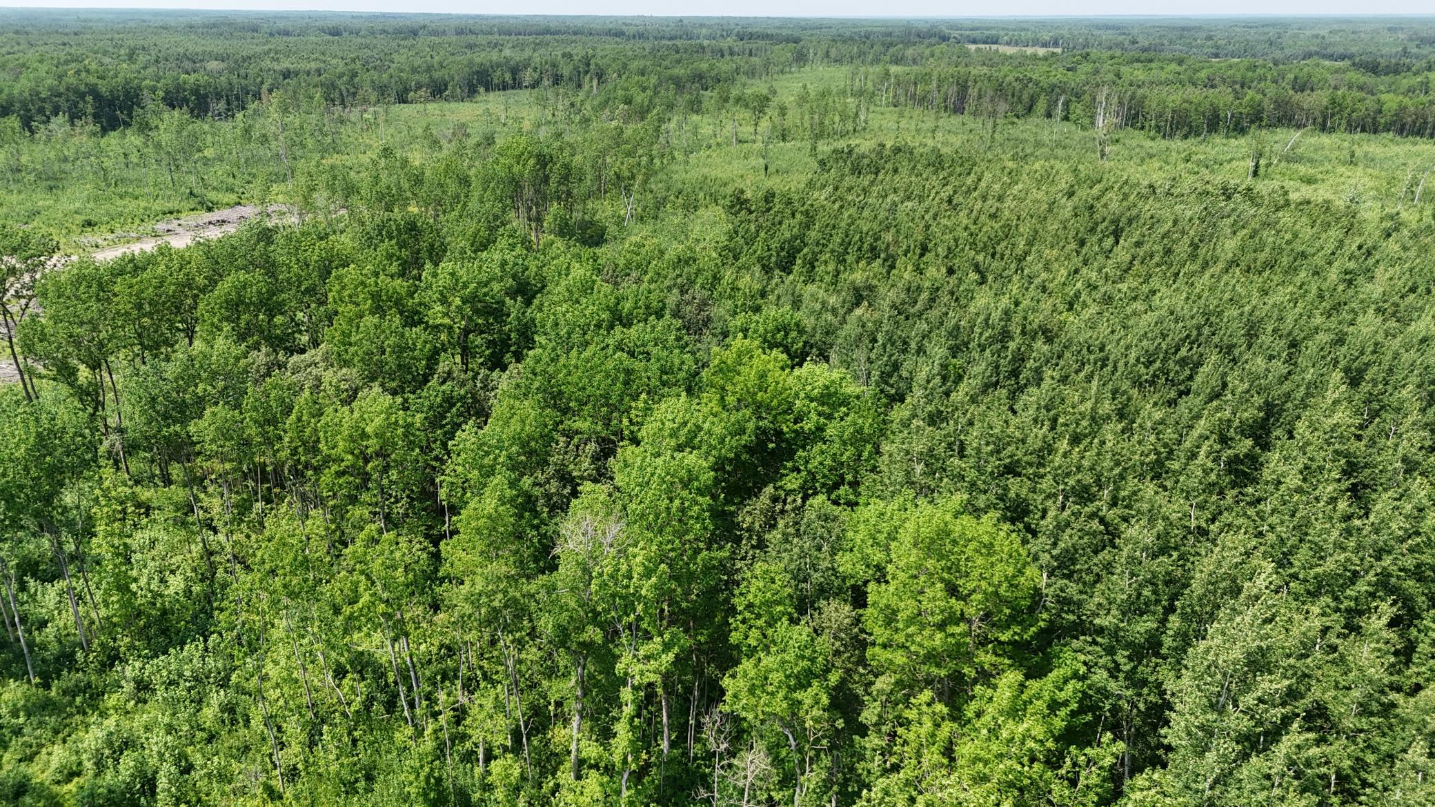 17 E County Road Property Photo 17