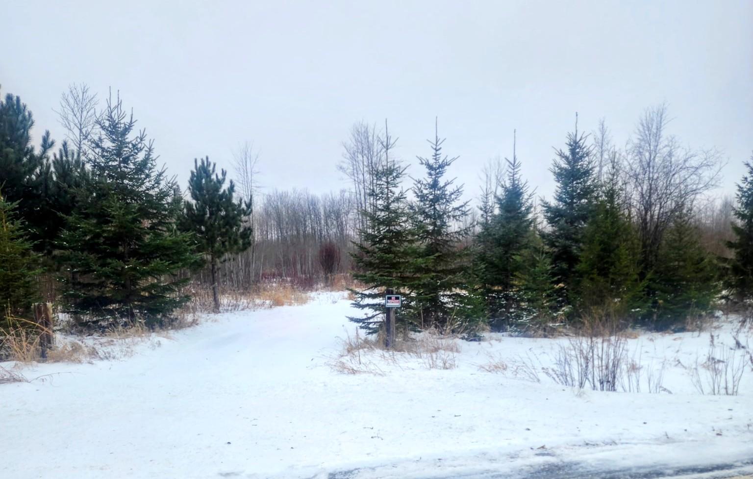 17 E County Road Property Photo 19