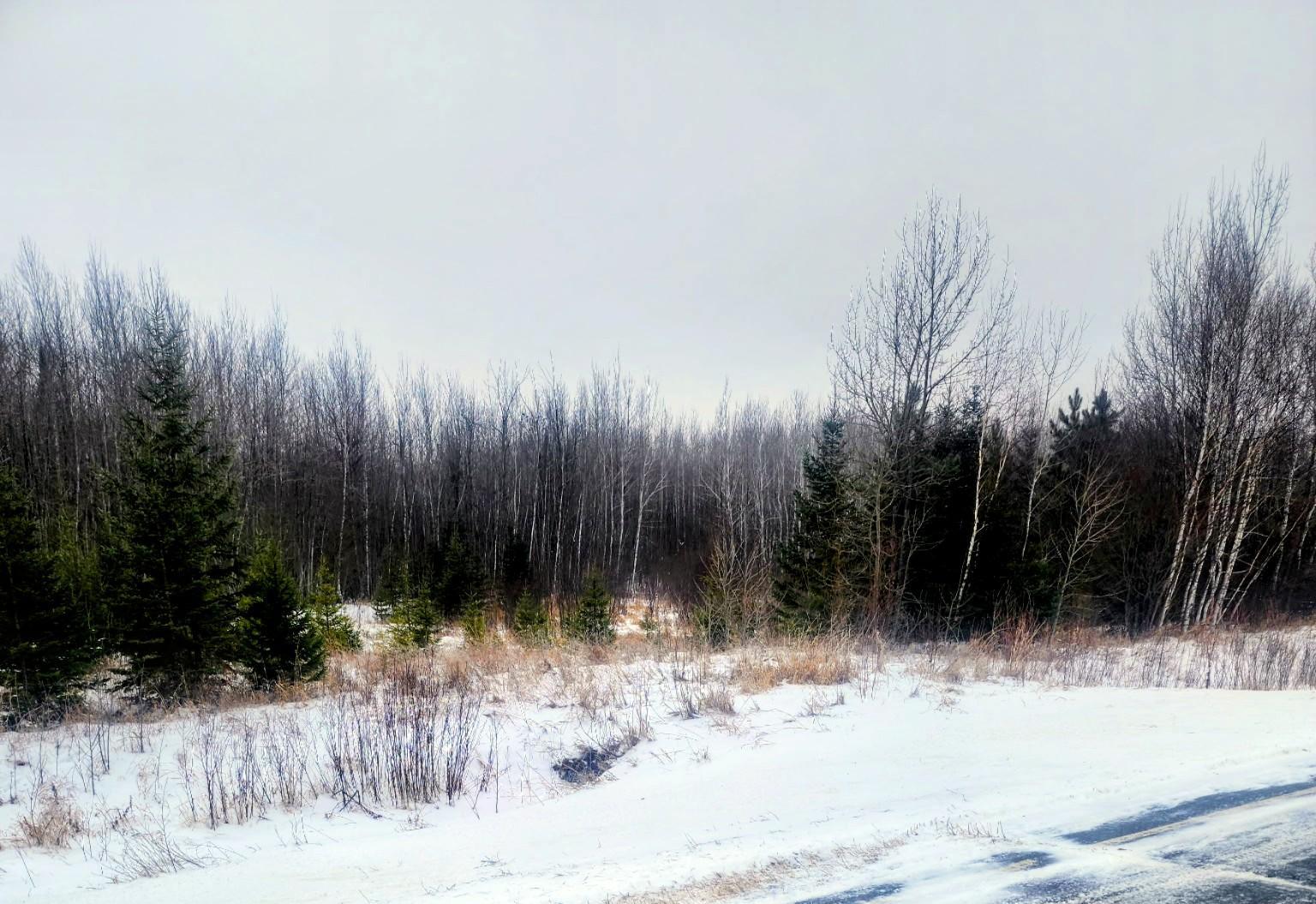 17 E County Road Property Photo 21